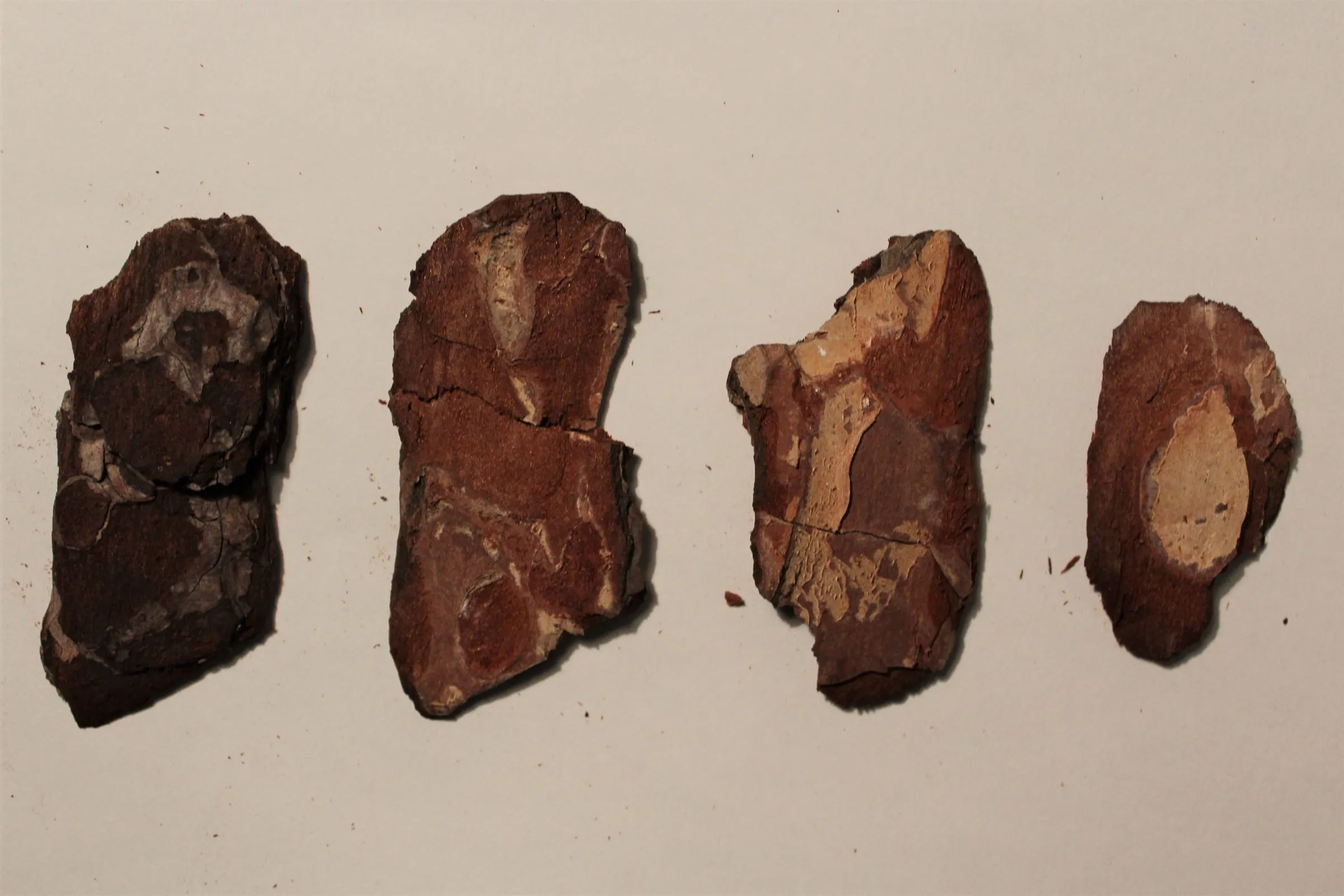 AaronMighty BehindTheScenes1