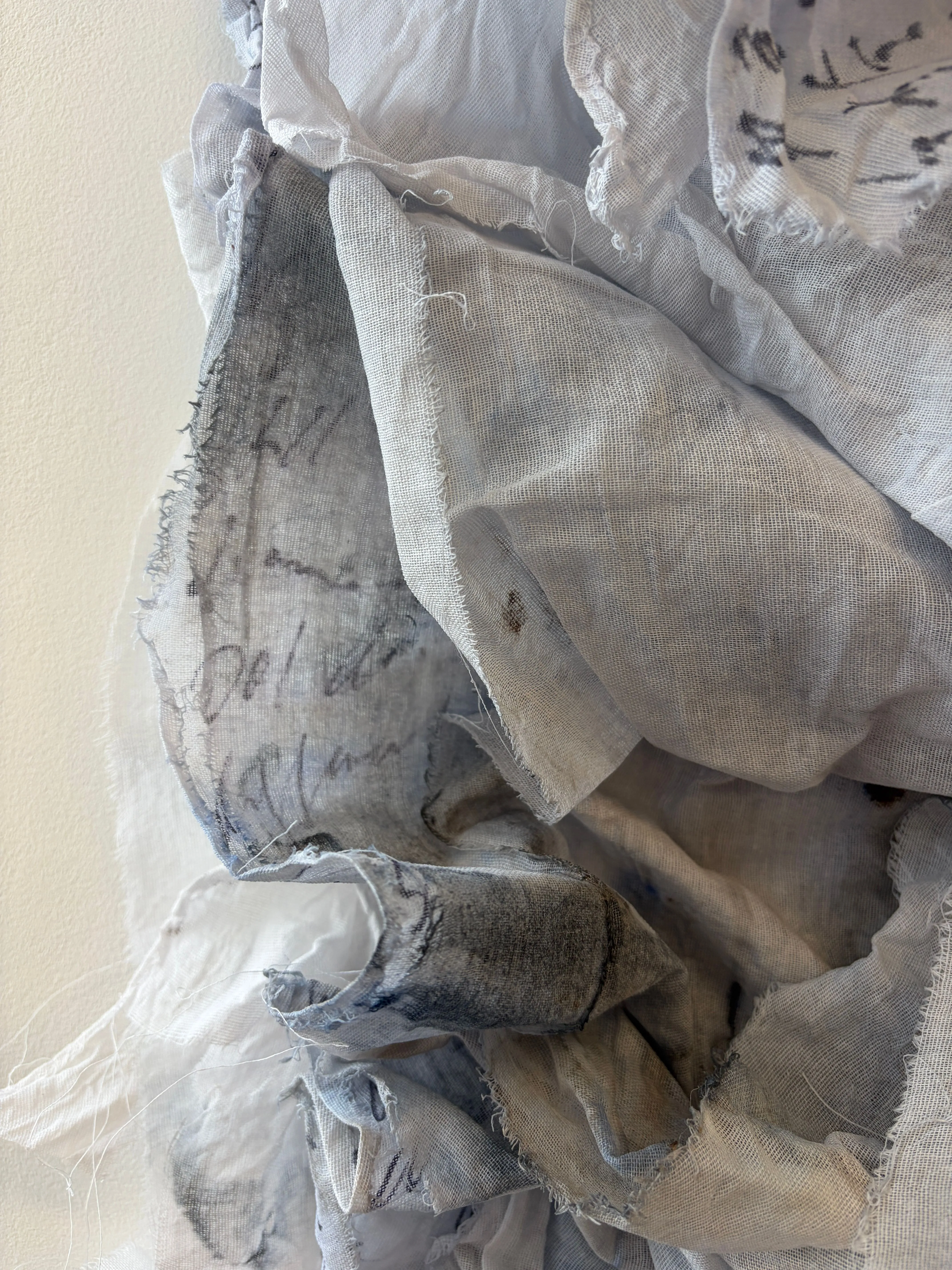 Alice Pilott outcome 1