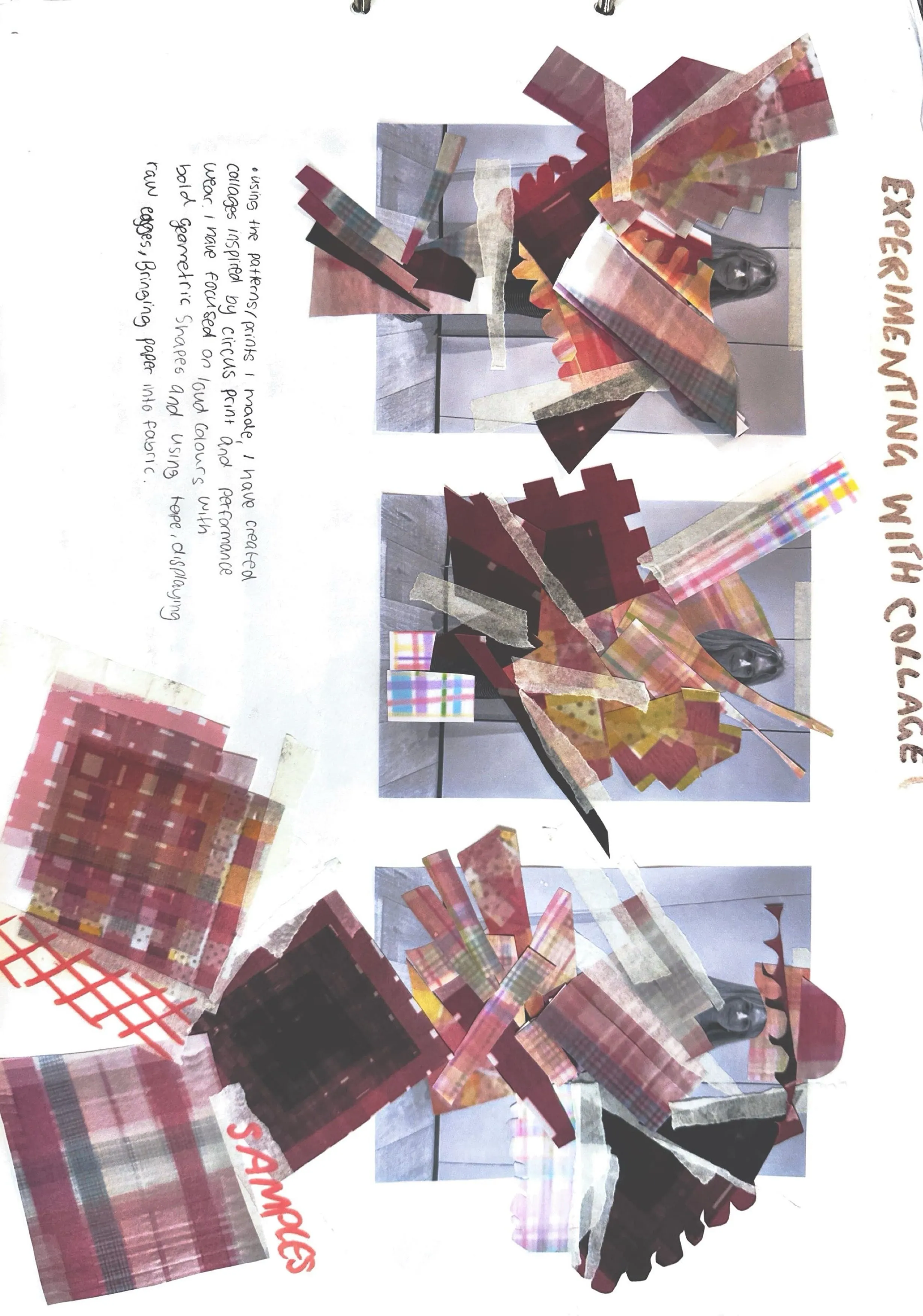 Alice Salmon process 1