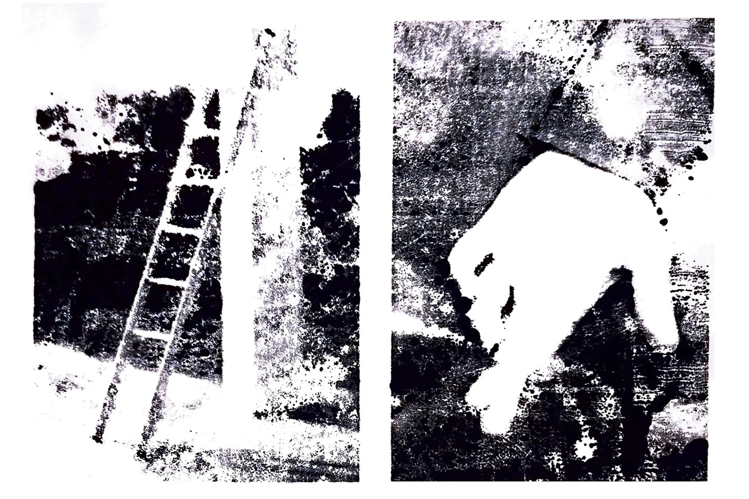 Everett Amelie BTS 2