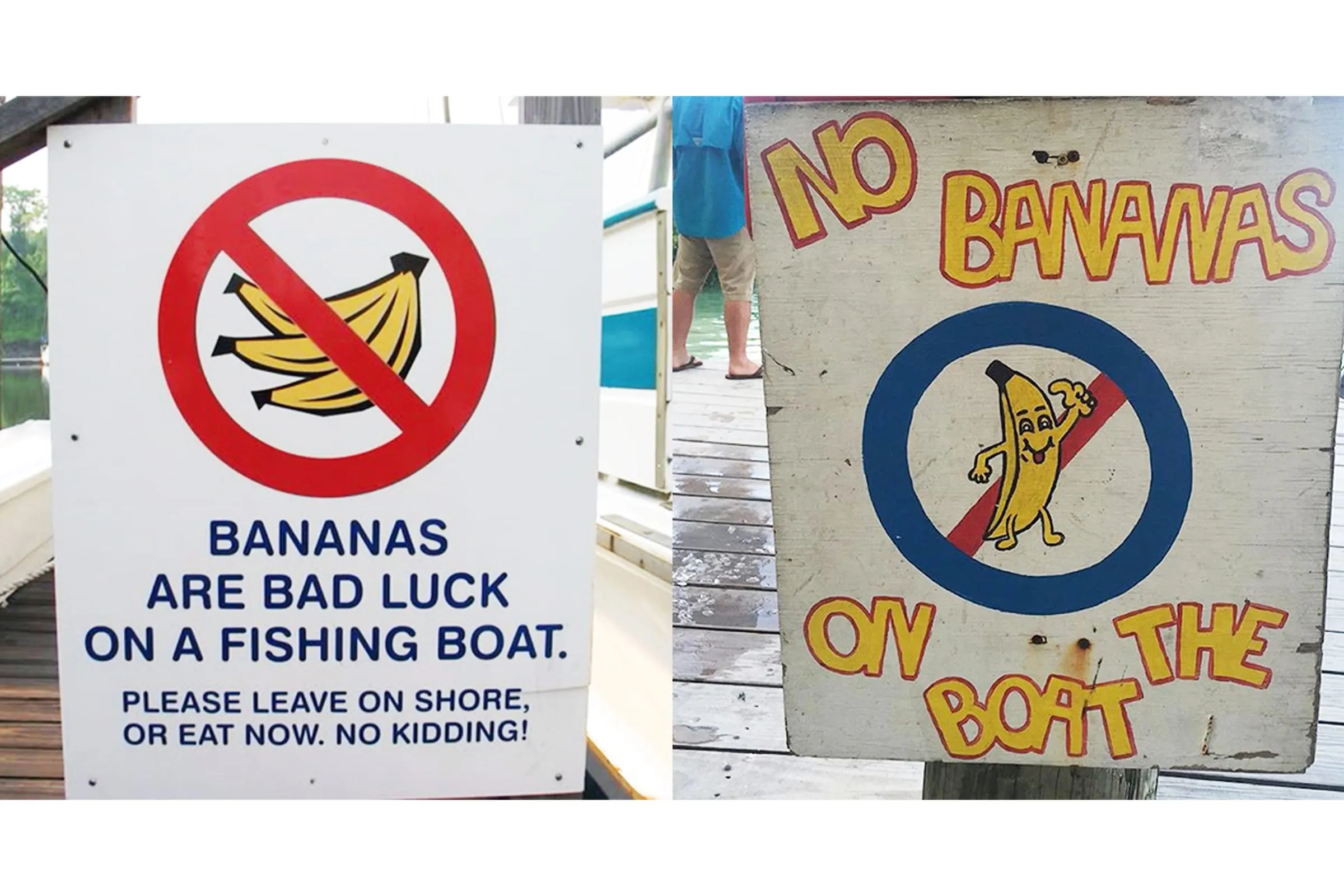 Everett Amelie BTS 5