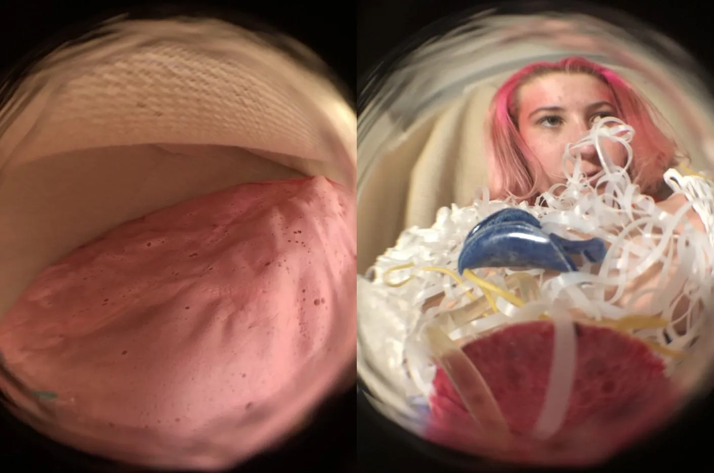 Amy O’Mara Slide 3 - Project Documentation