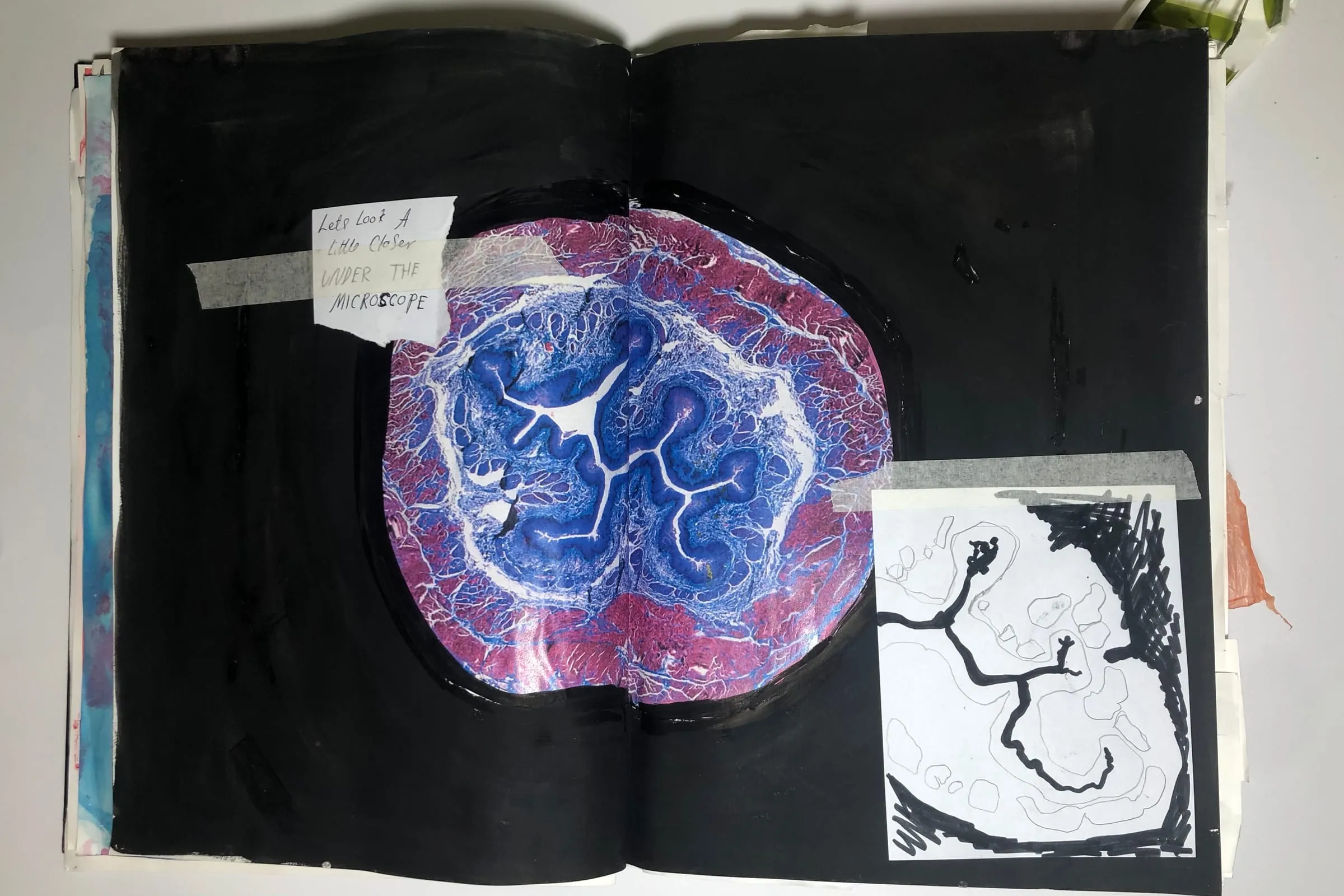 Amy O'Mara Behind The Scenes 2