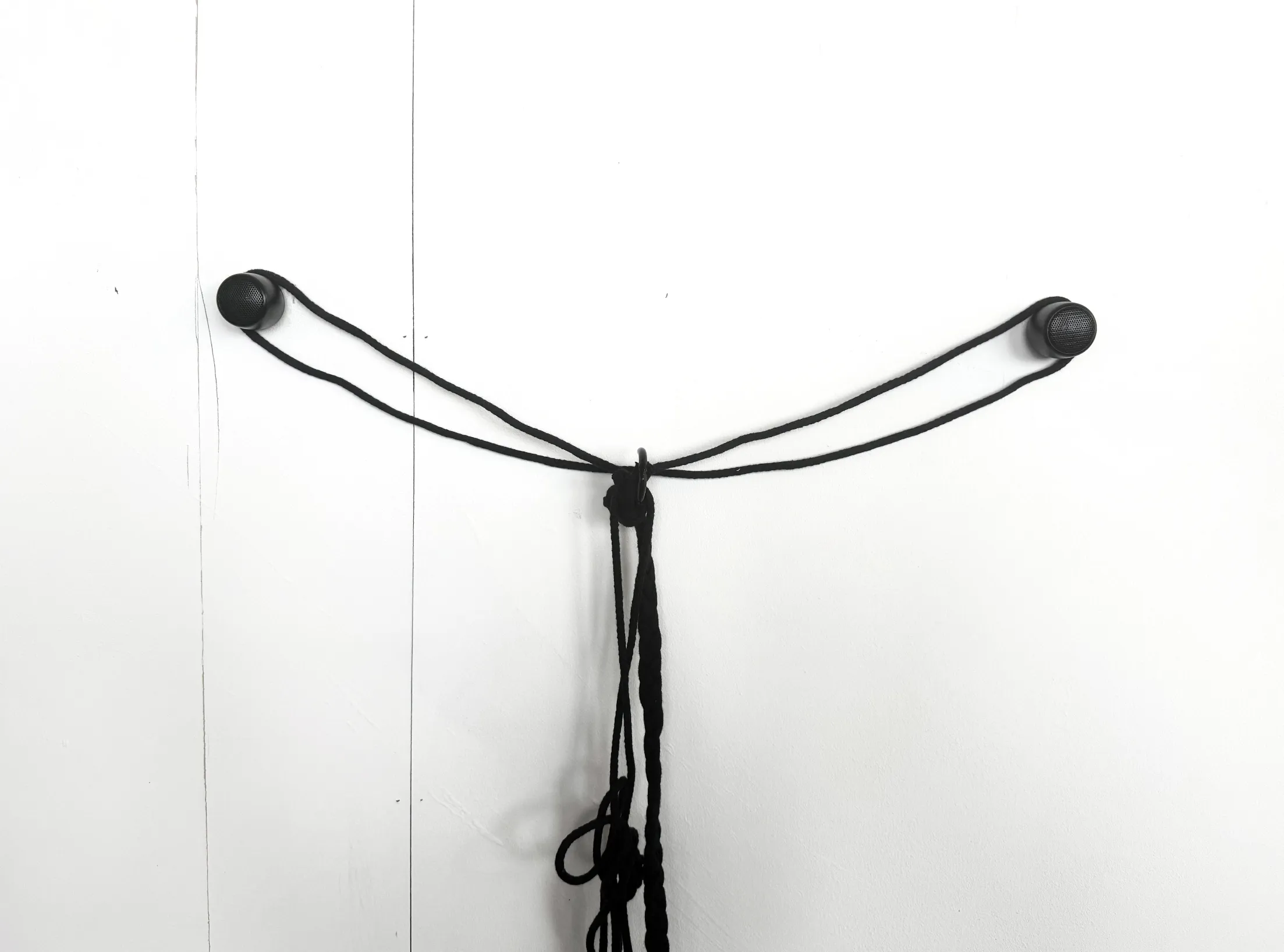 Ava Levy process 1