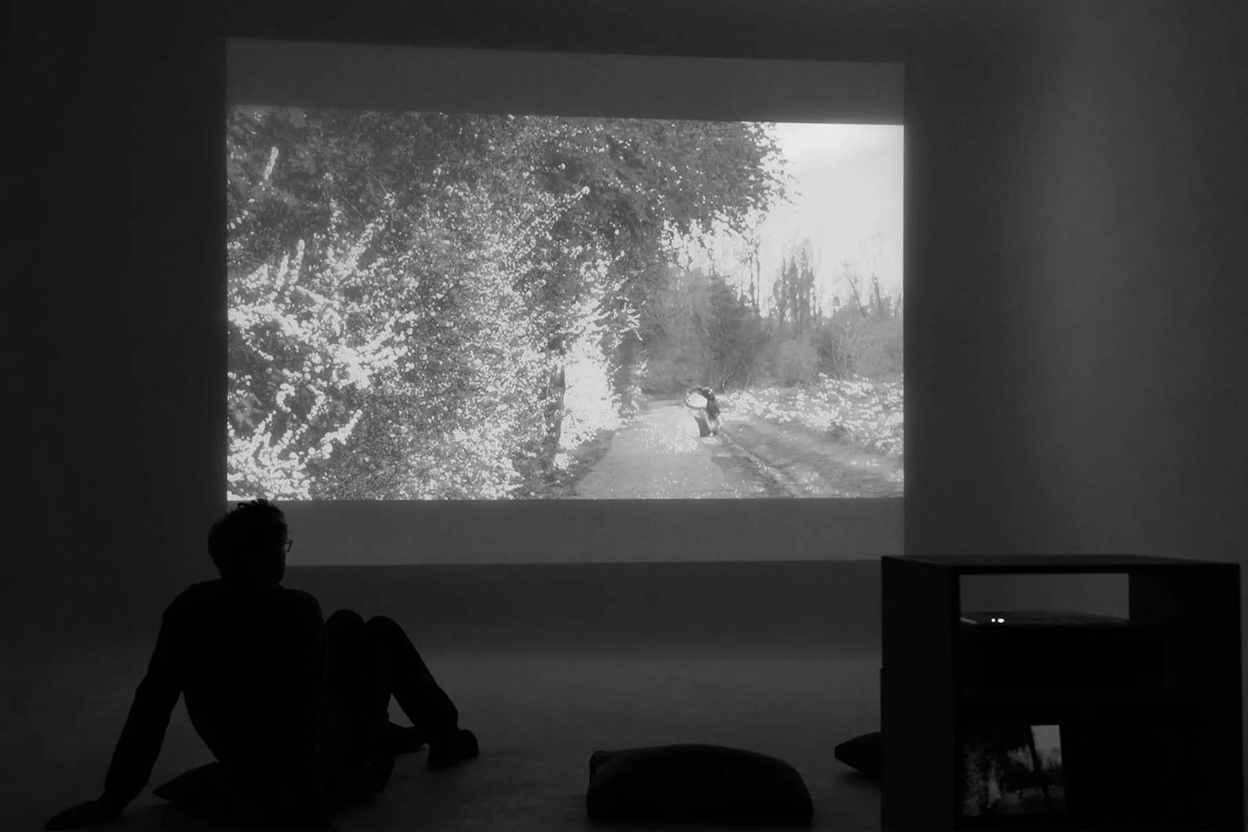 Bertie Myhill-Slide2