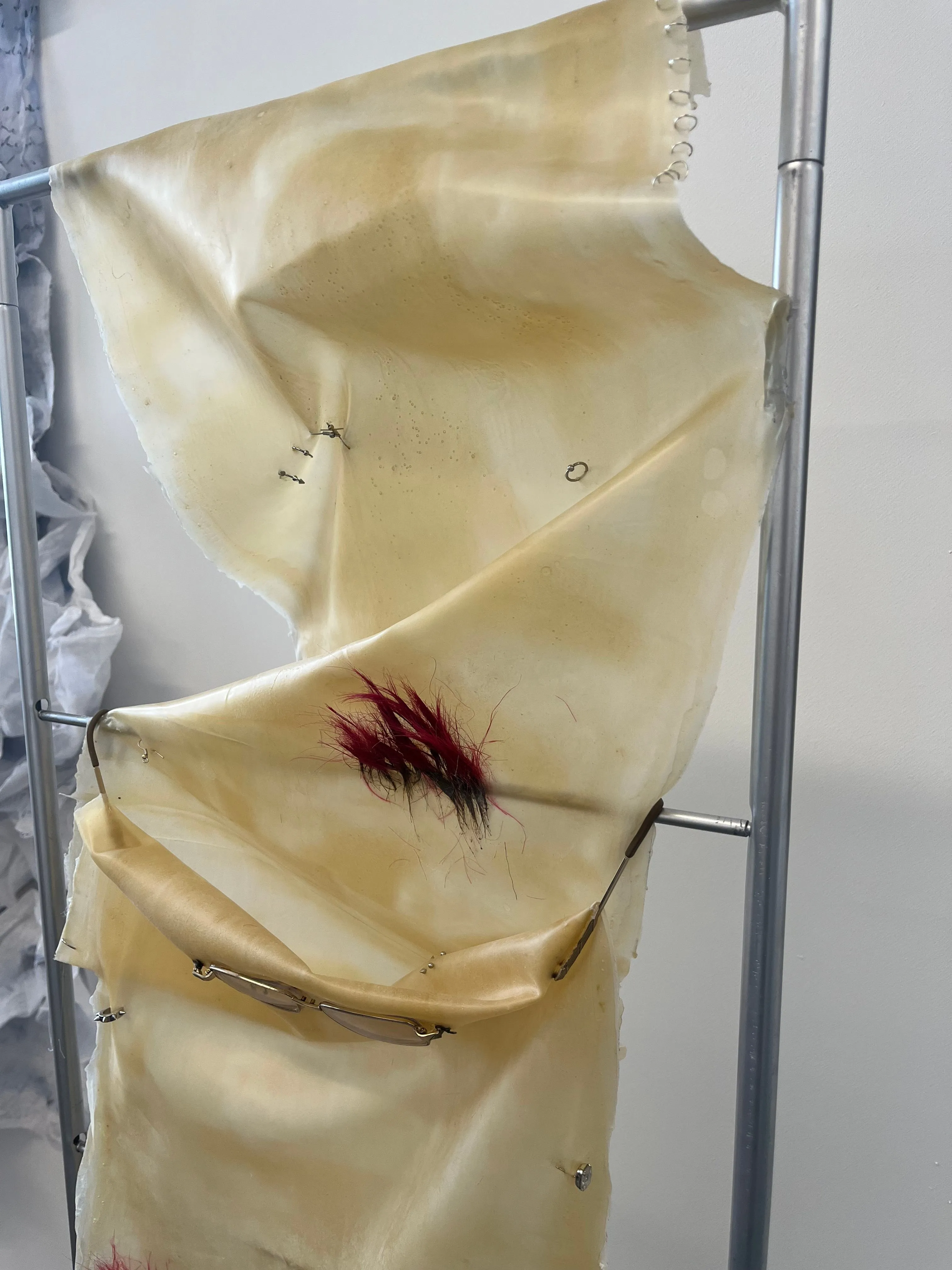 Catalin Nichitelea outcome 1