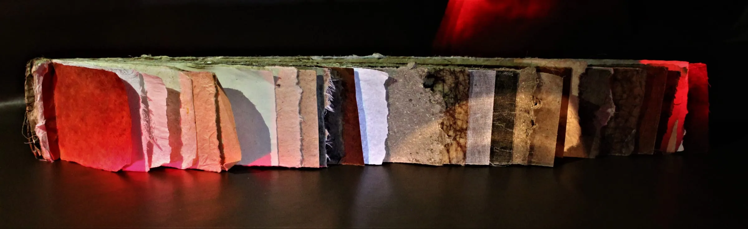 Wainer Cerys Slide 1