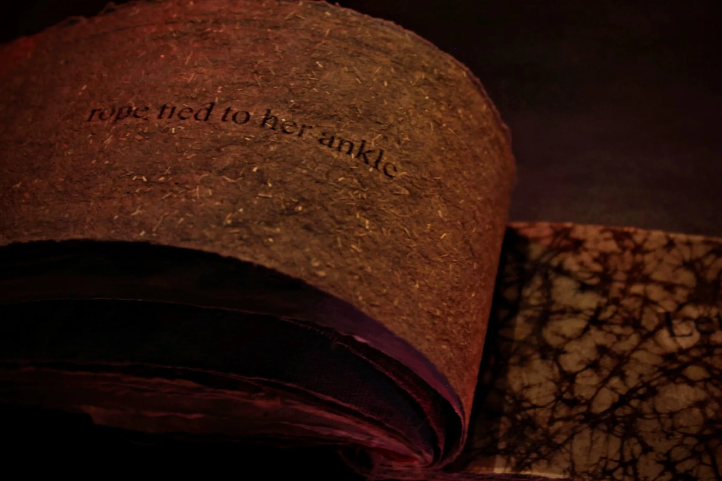 Wainer Cerys Slide 2