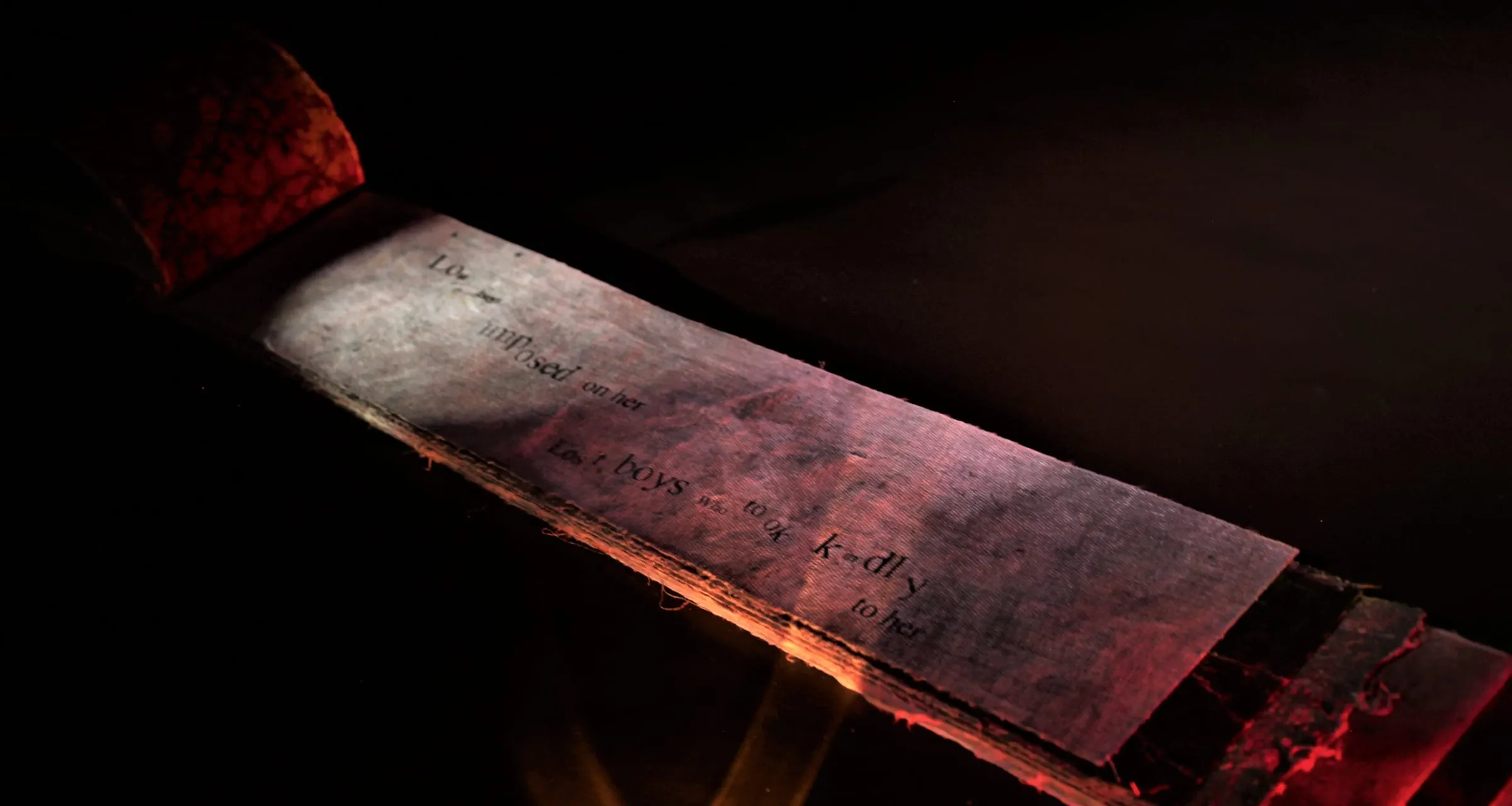 Wainer Cerys Slide 3