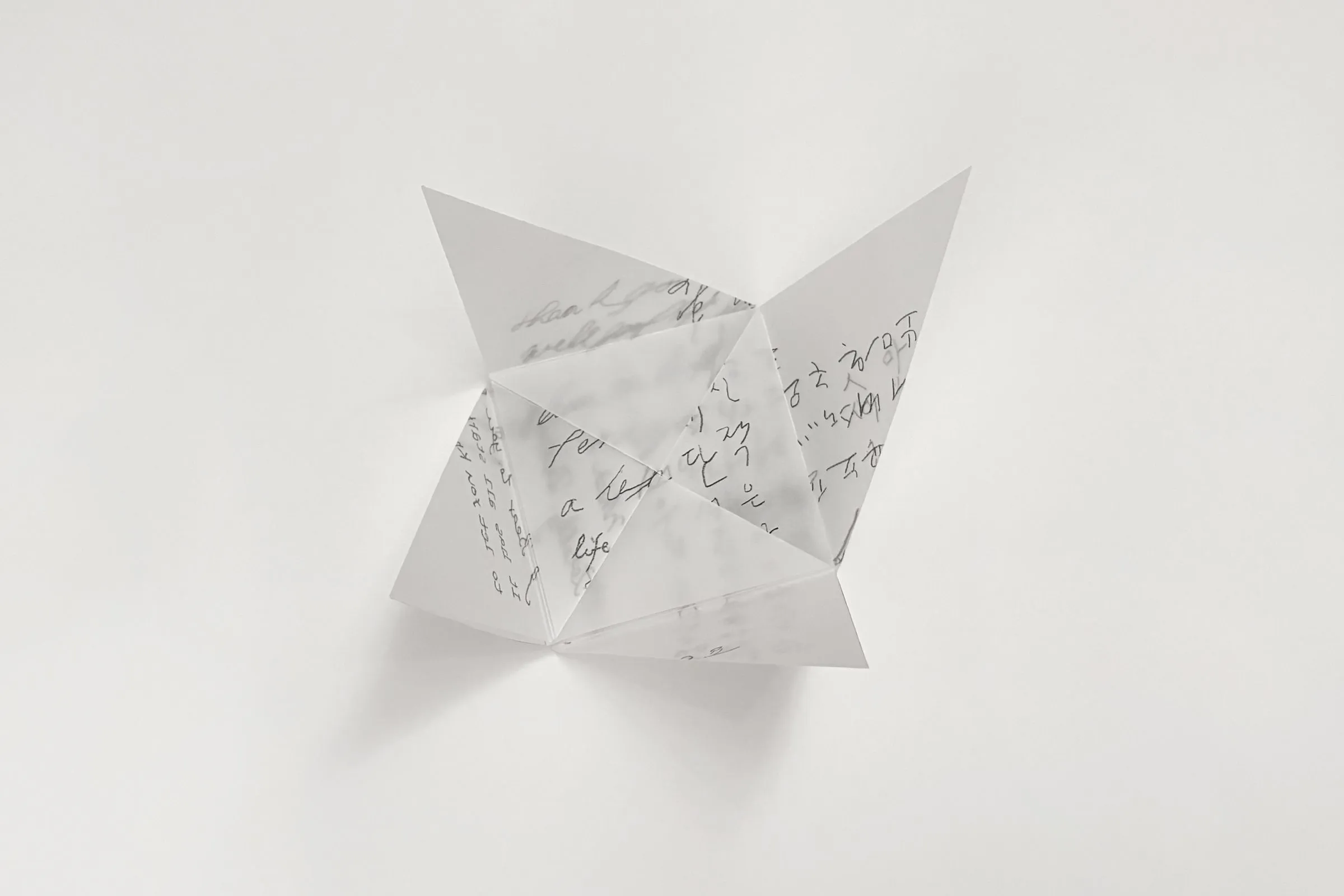 Chaewon Kim process 2