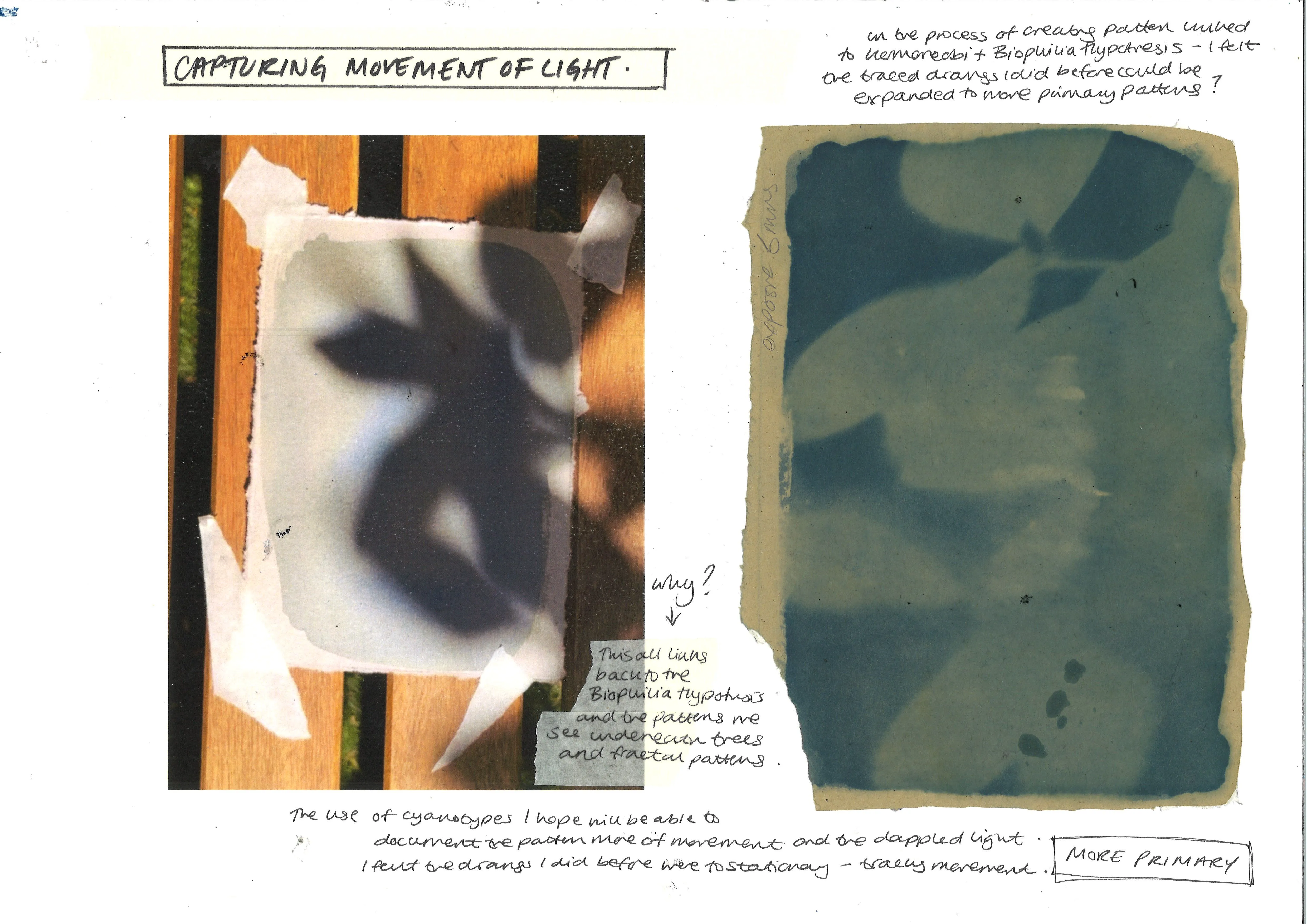 Charlotte Saunders process 3
