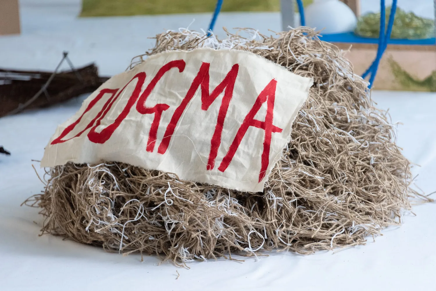 Daisy Chadwick Hero Image