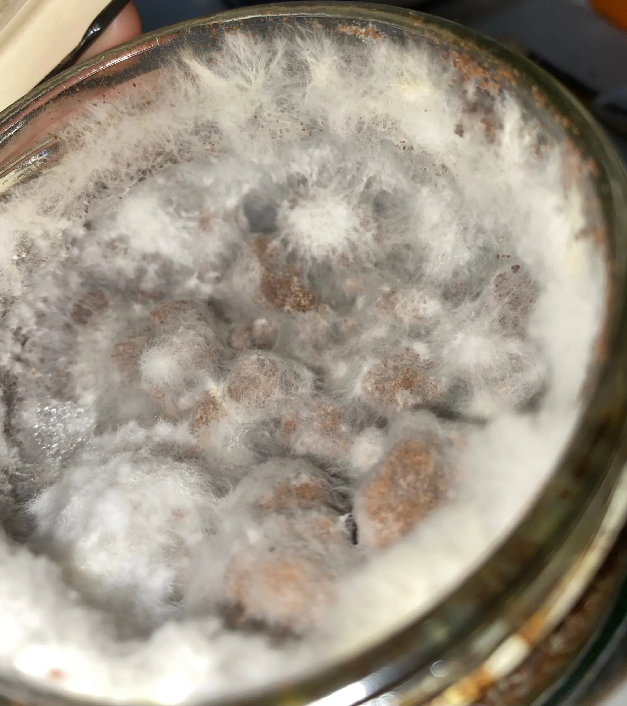 eleni macbean behind the scenes 1