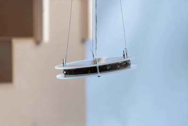 Eleni Macbean Hero Image