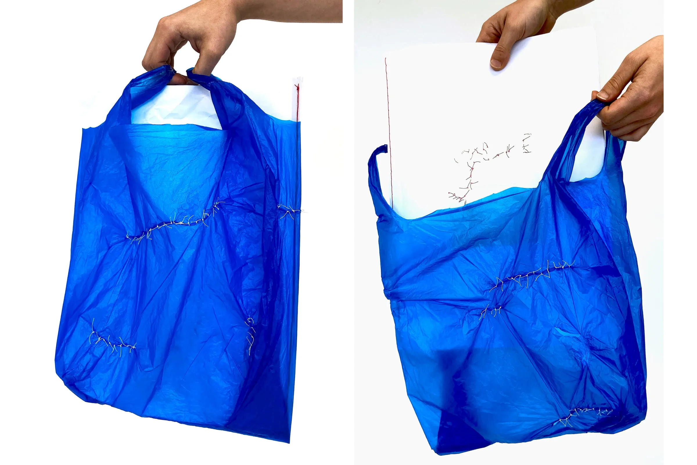 Fraser Elizabeth Slide 2