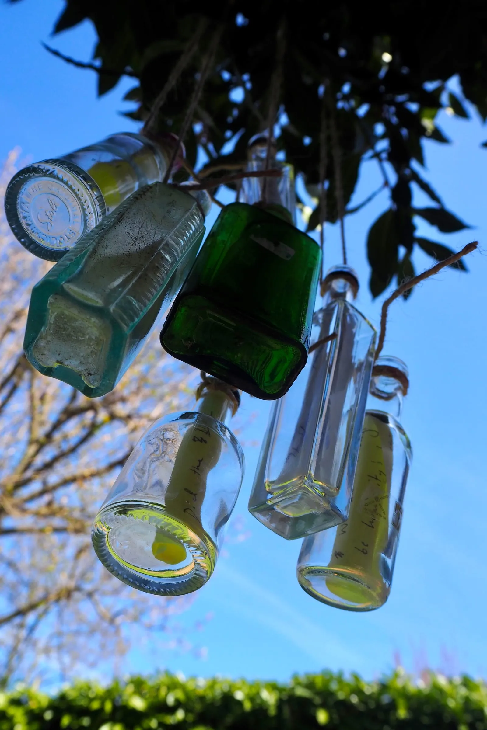 Evie Ames Behind the scenes