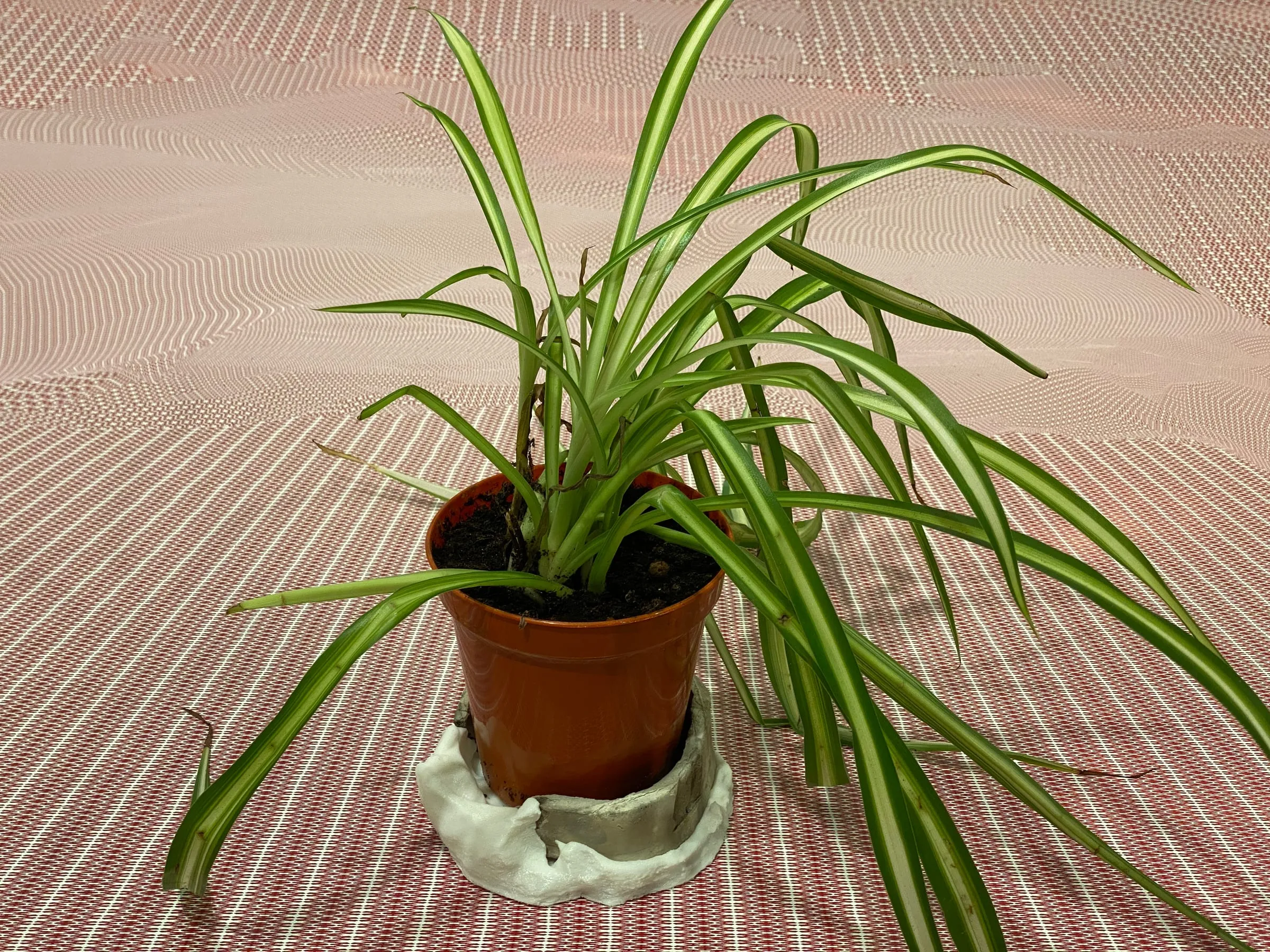 FELIX ZIEGLER BEHIND THE SCENES 1