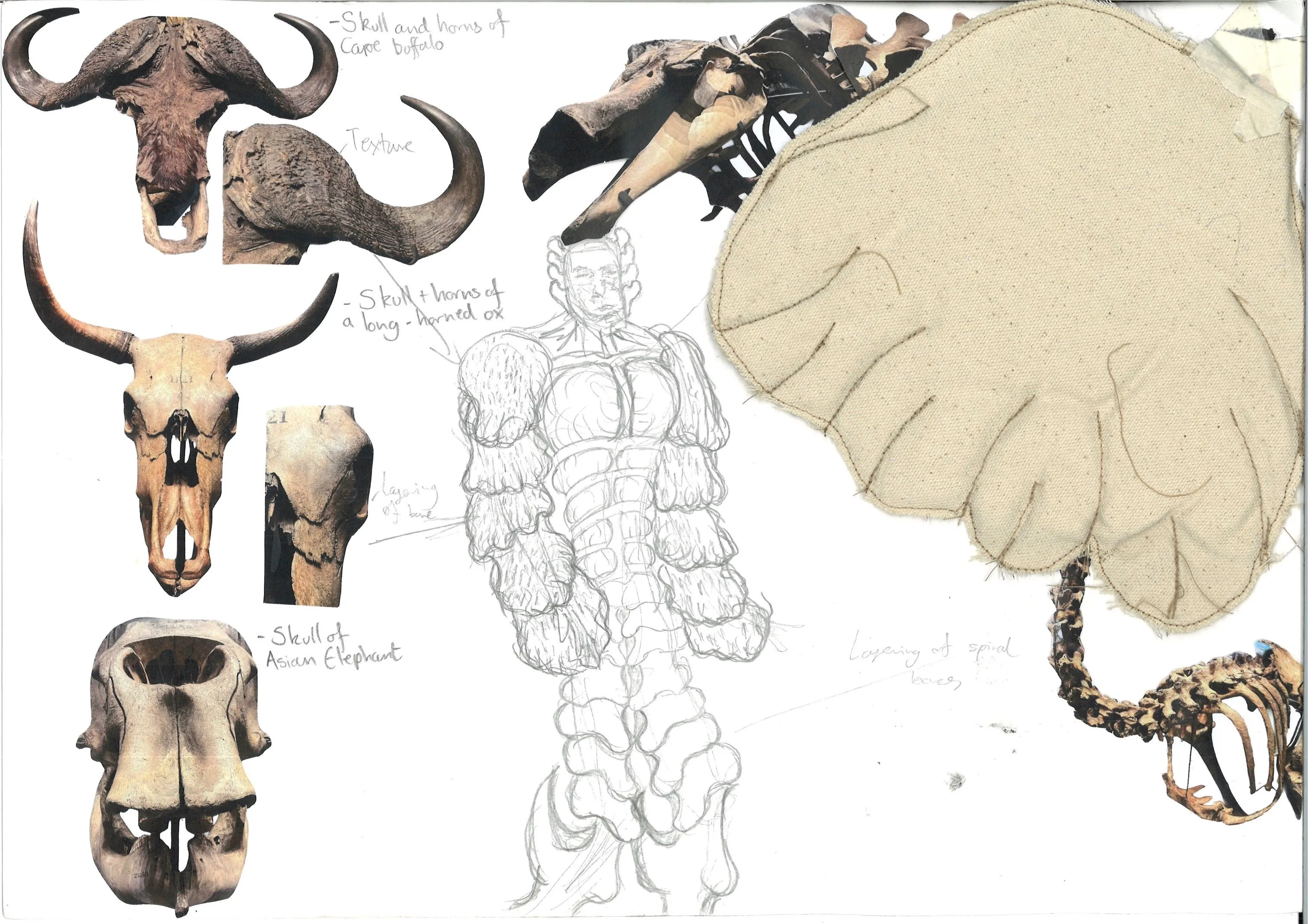 Fritz Lowthorpe - Ziehn process 1