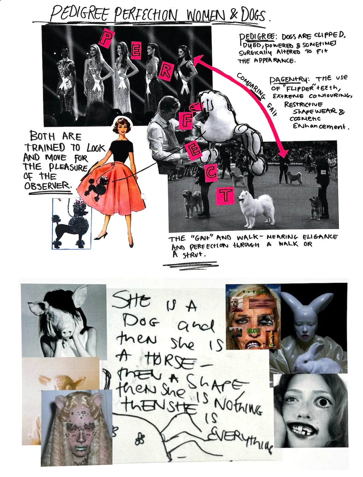 Harper Bone process 2