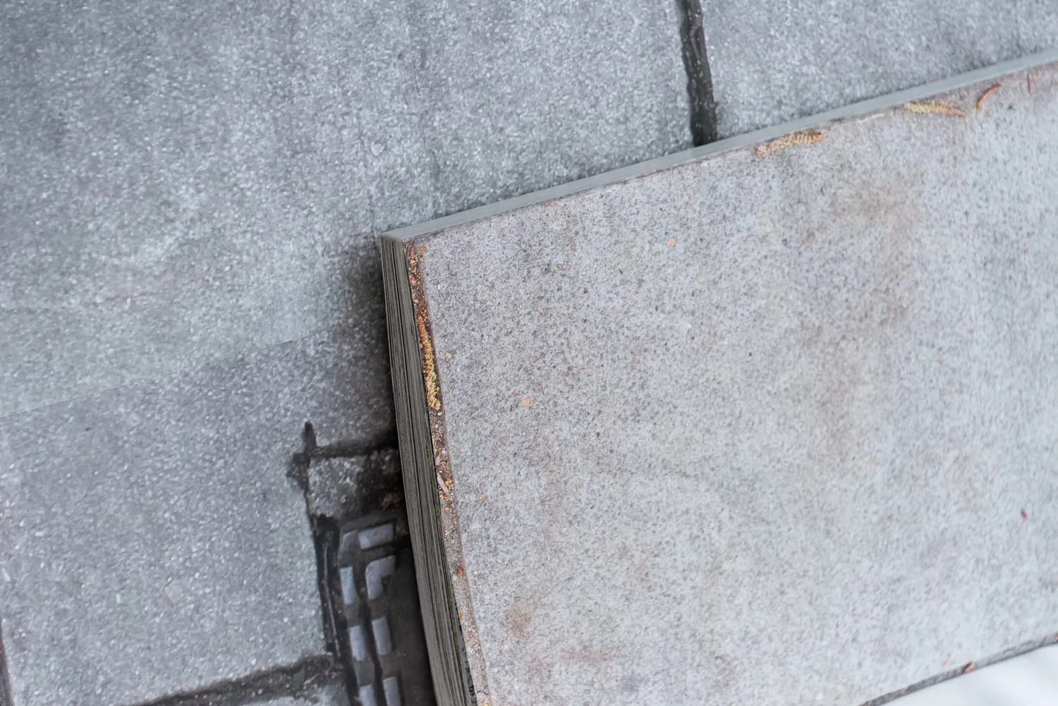 Honey Ellis Hero Image