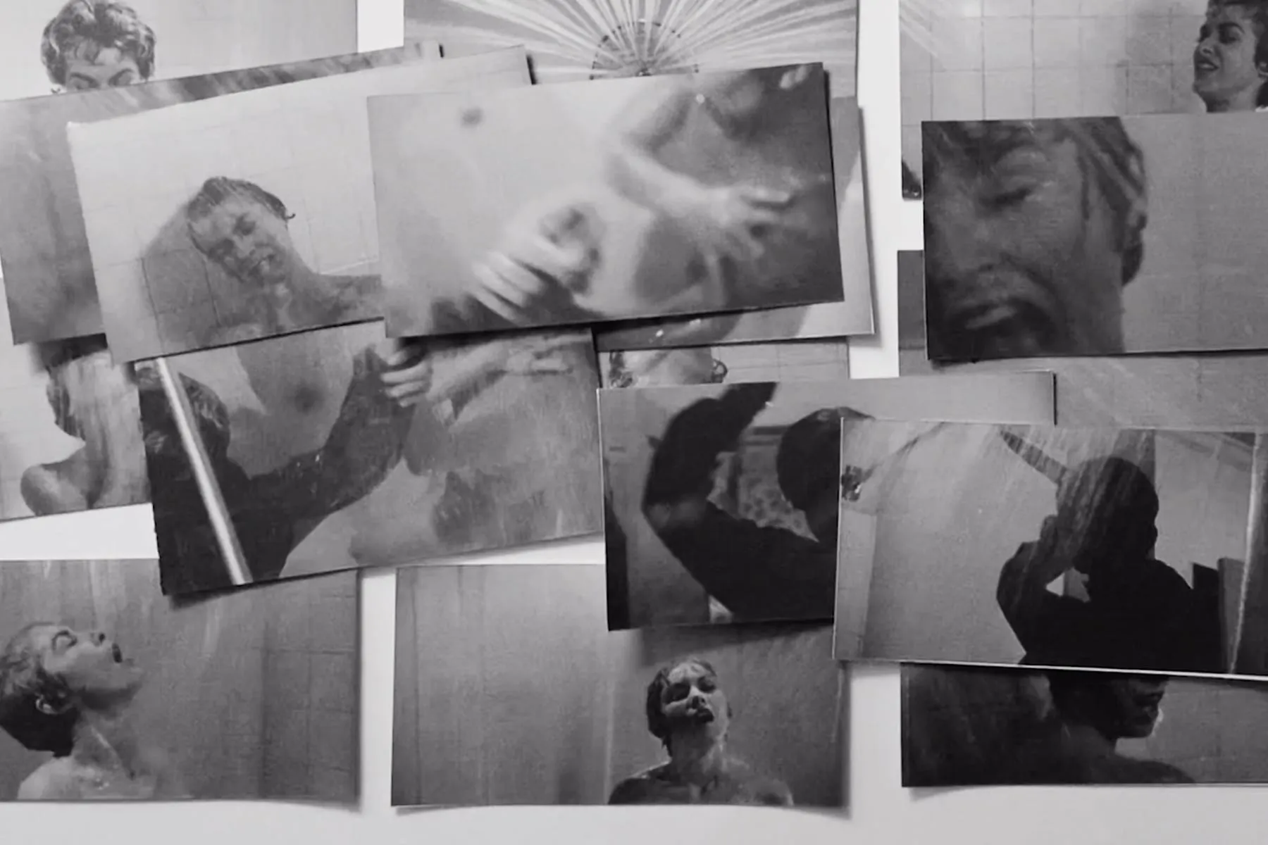 Shrimpton James Slide 3