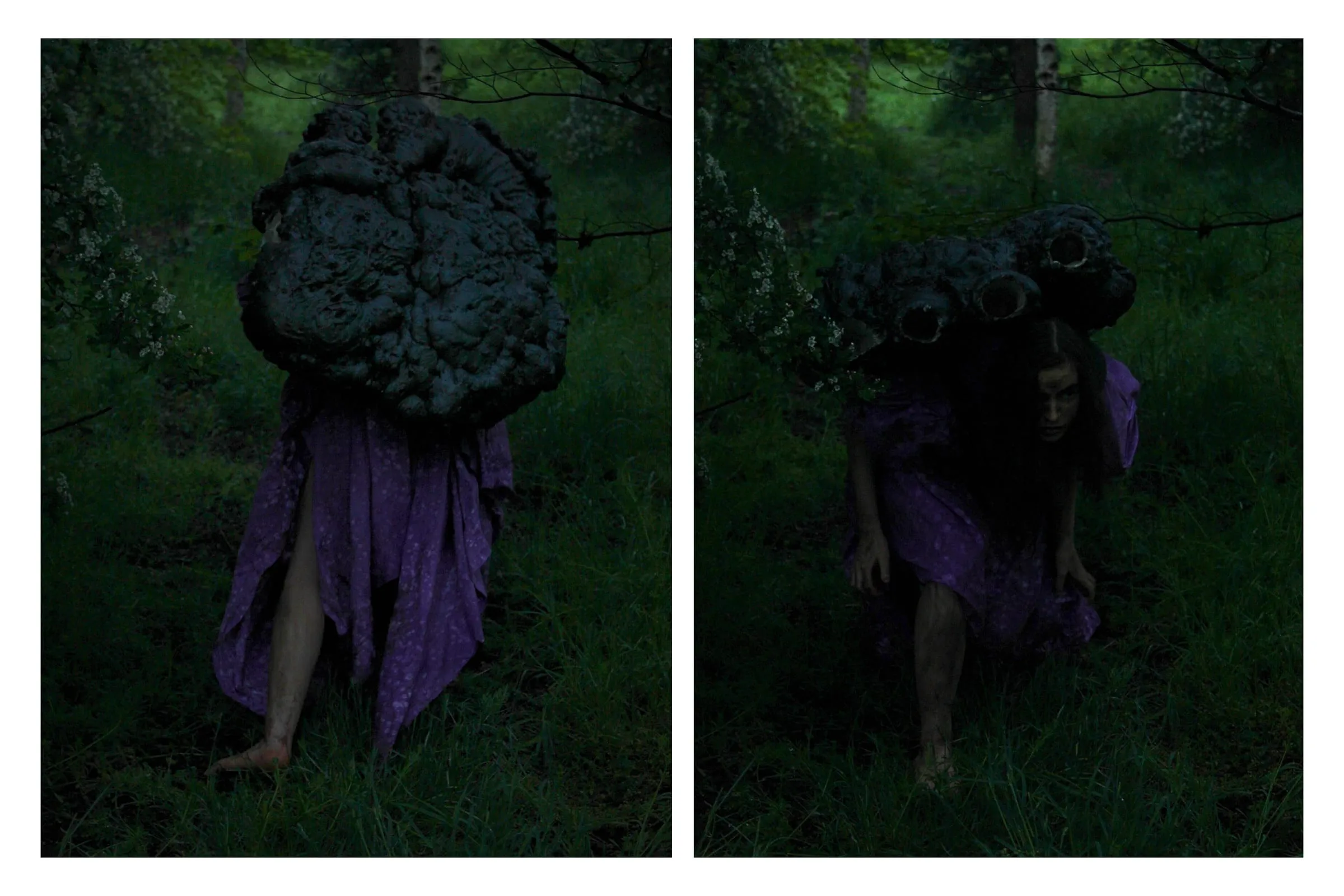 Edwards Katie documentation3