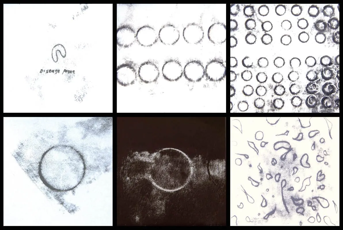 Cornwell-Davison Cadi Slide 2