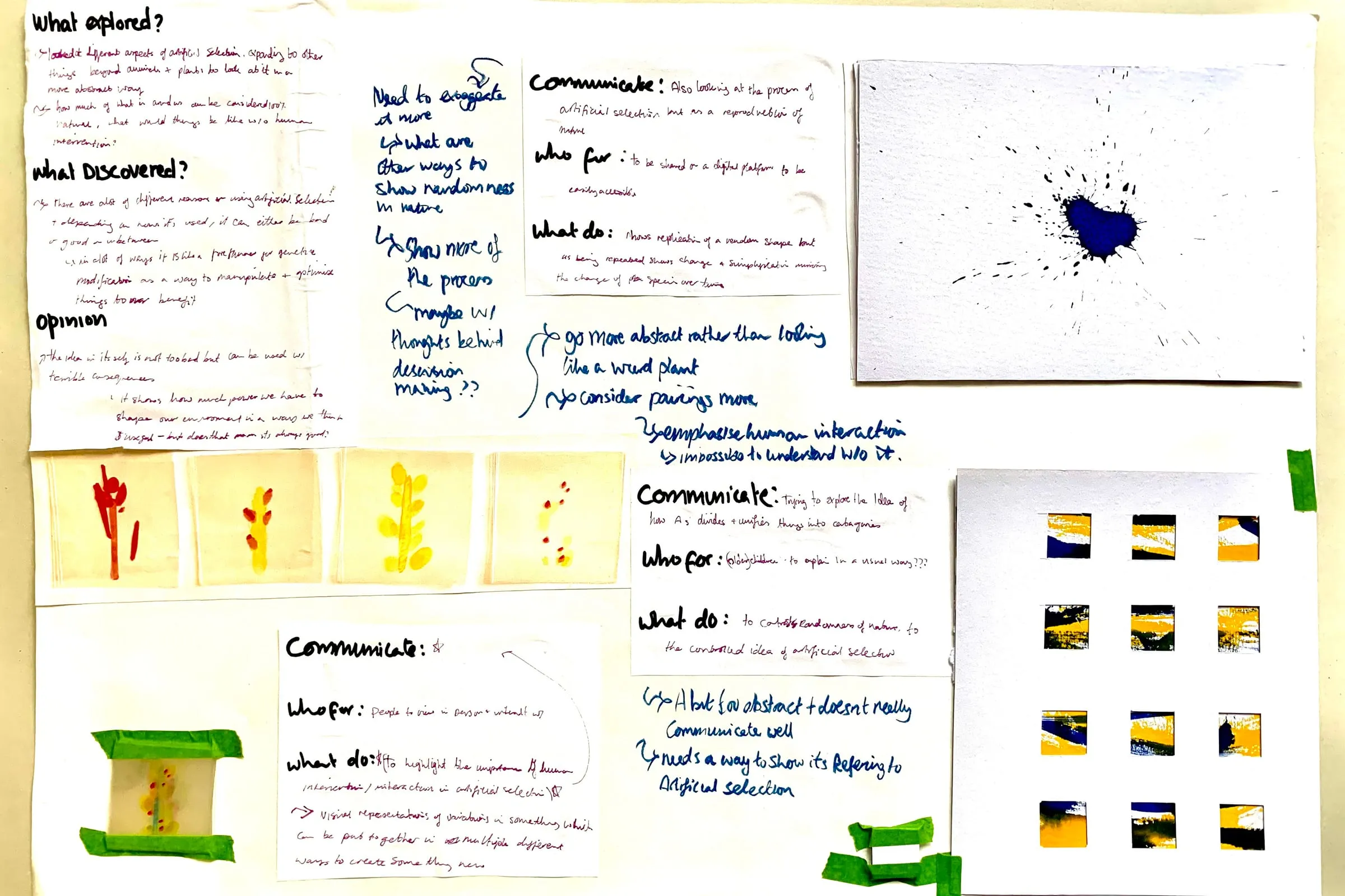 Cornwell-Davison Cadi BTS 3