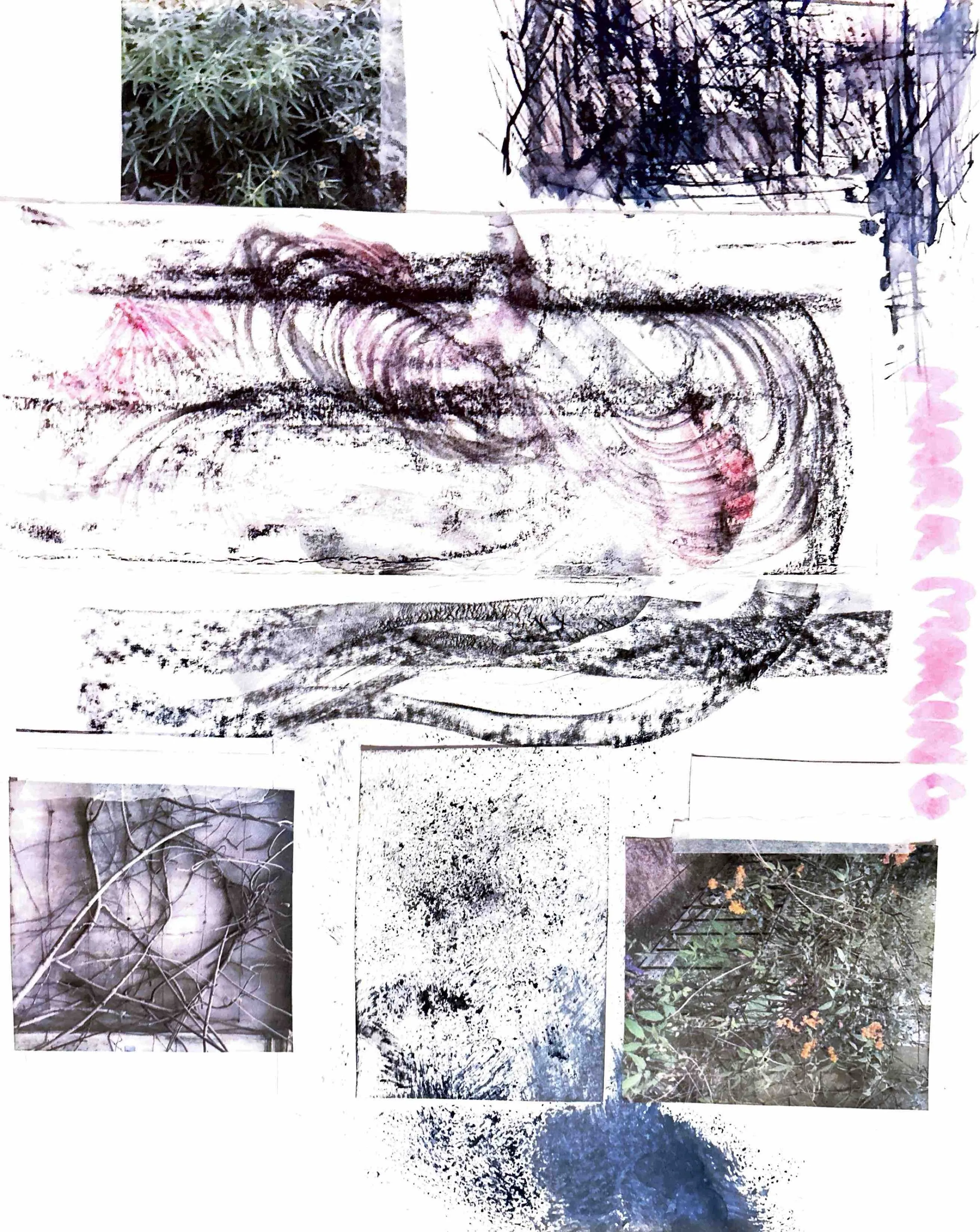 Lily Sidaway process 1