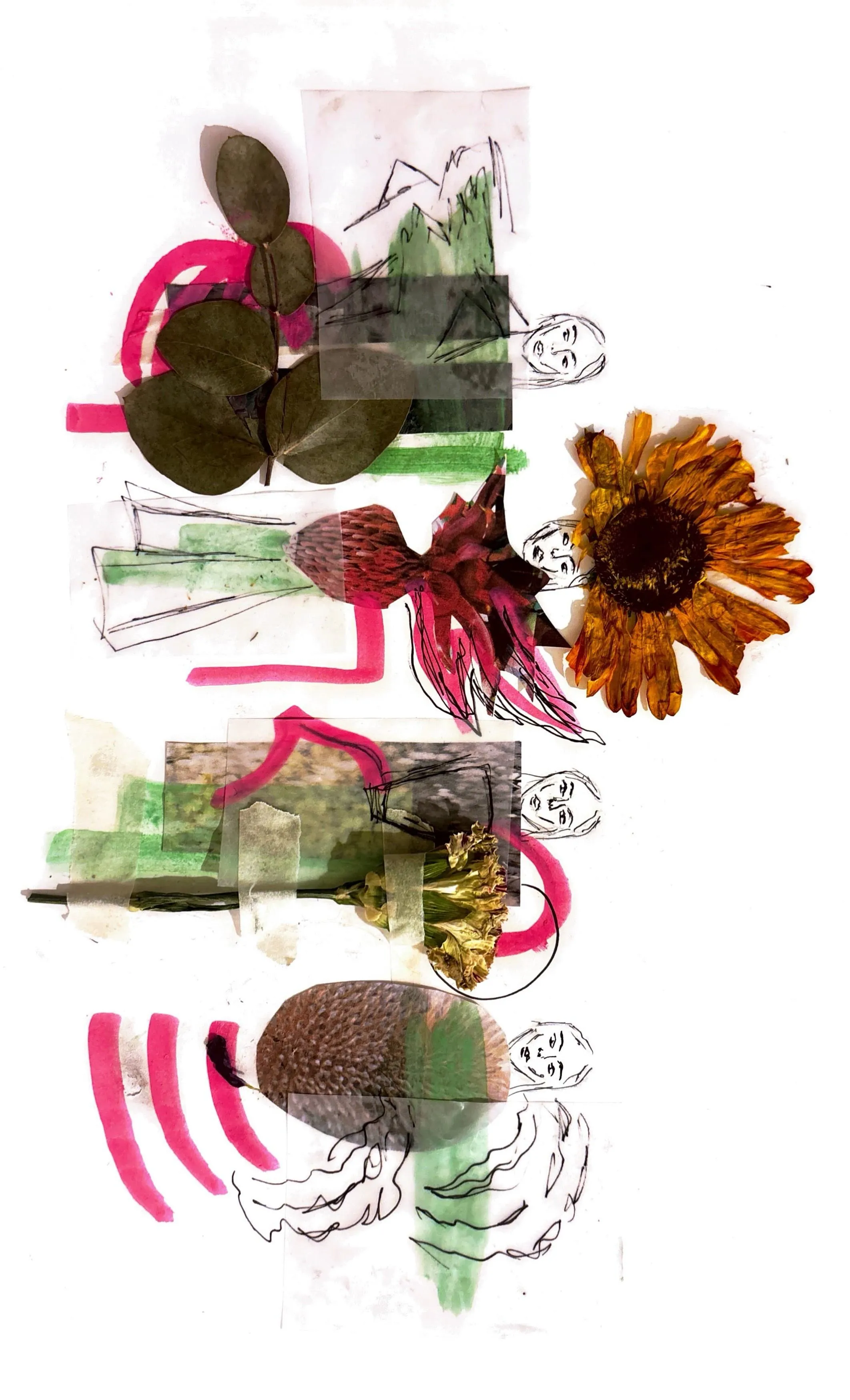 Lily Sidaway process 4