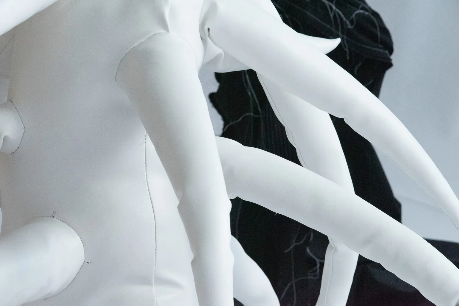 Lottie Simpson Hero Image