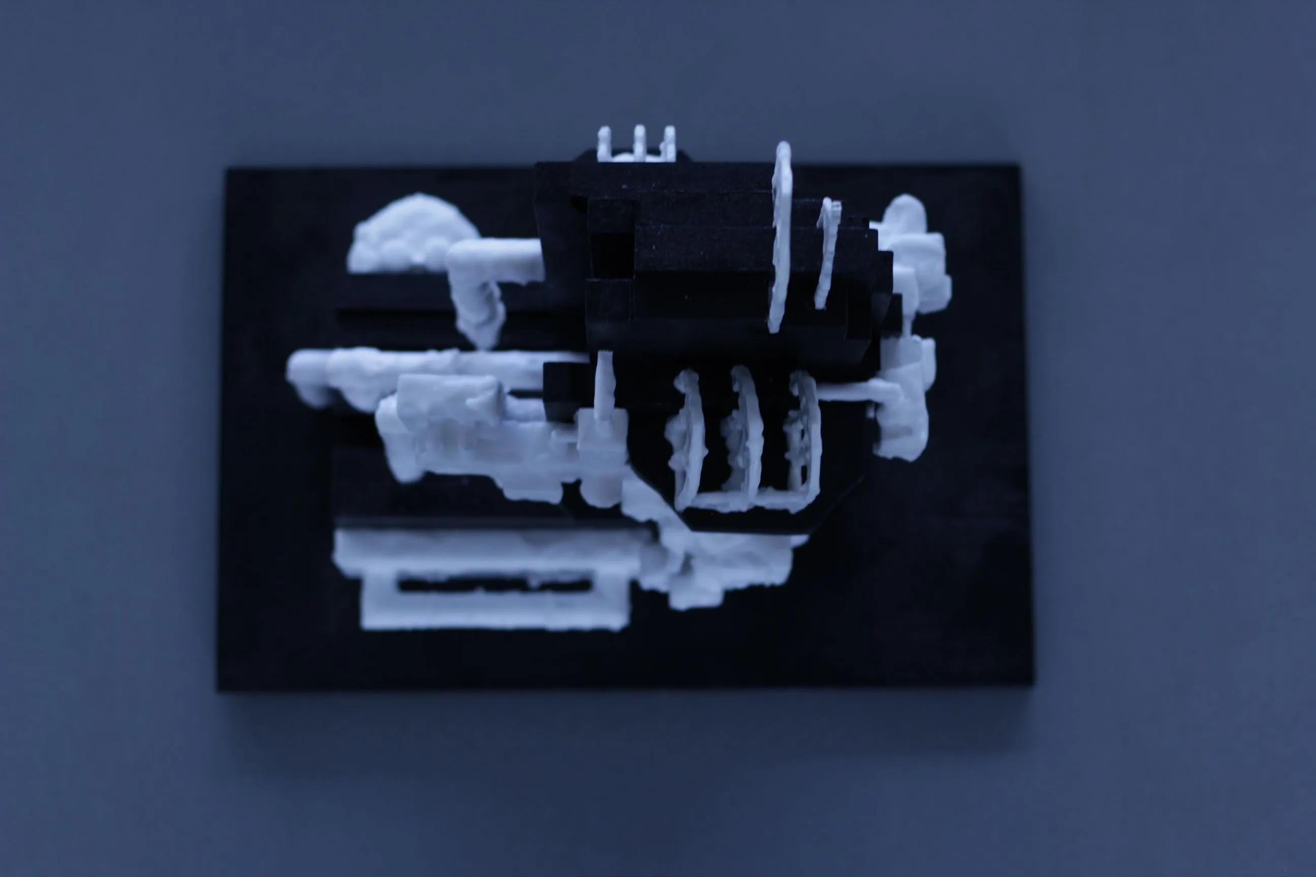 Luc Tran outcome 3
