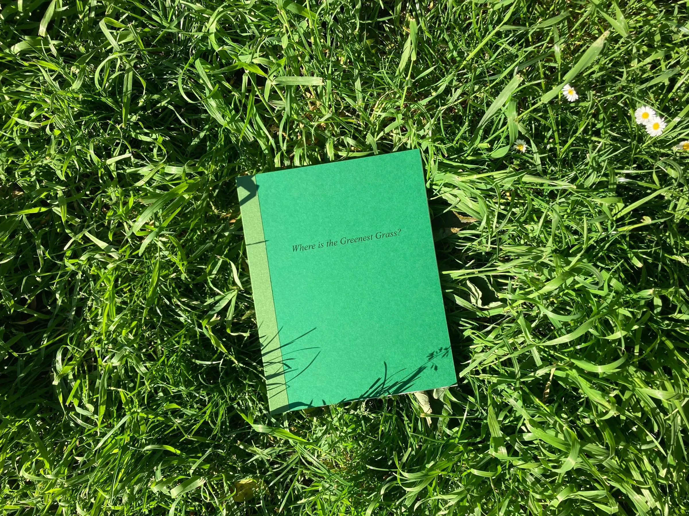 Tromans Martha slide 1