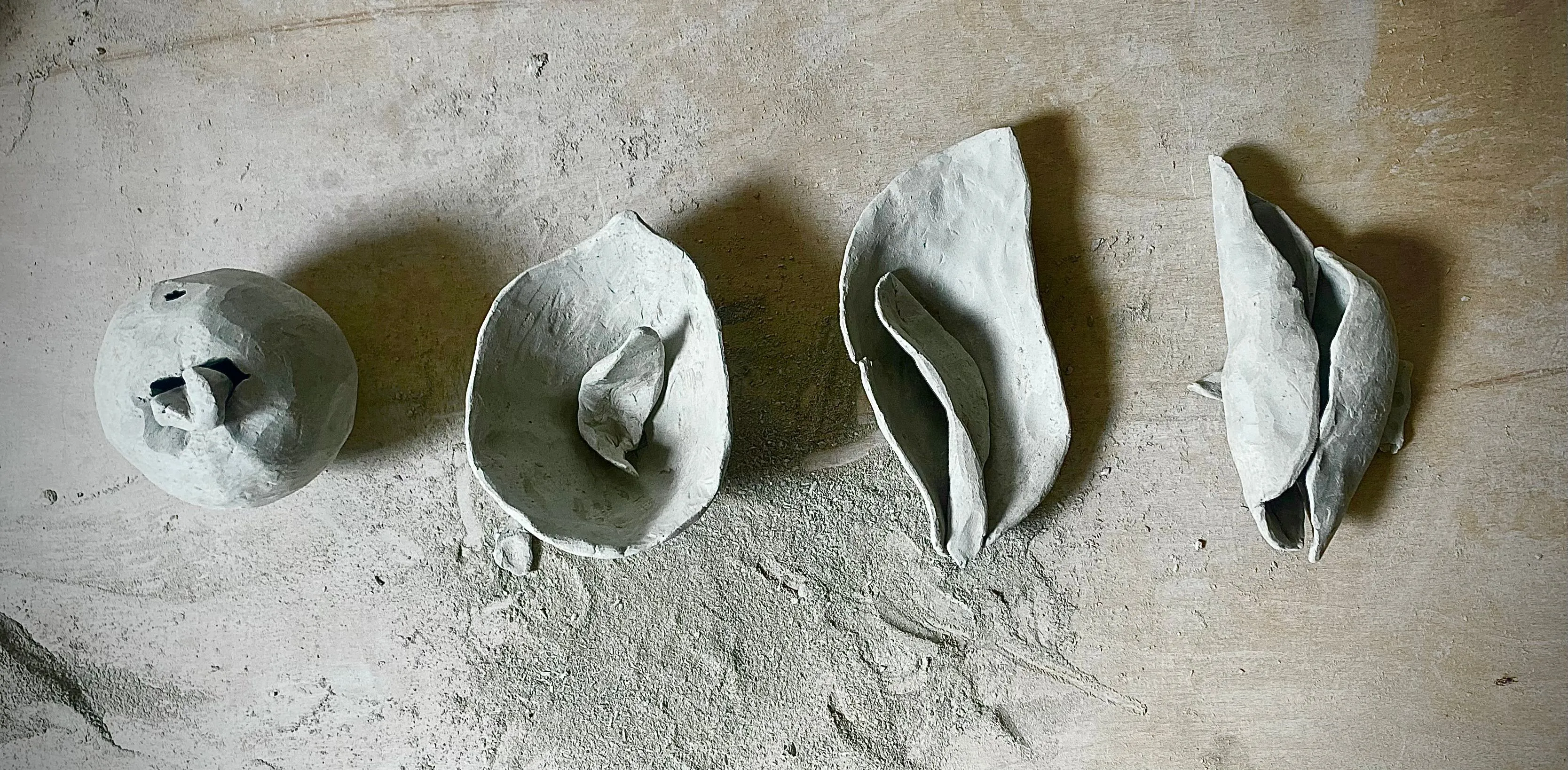 Maya Dahele-Svendsen outcome 3