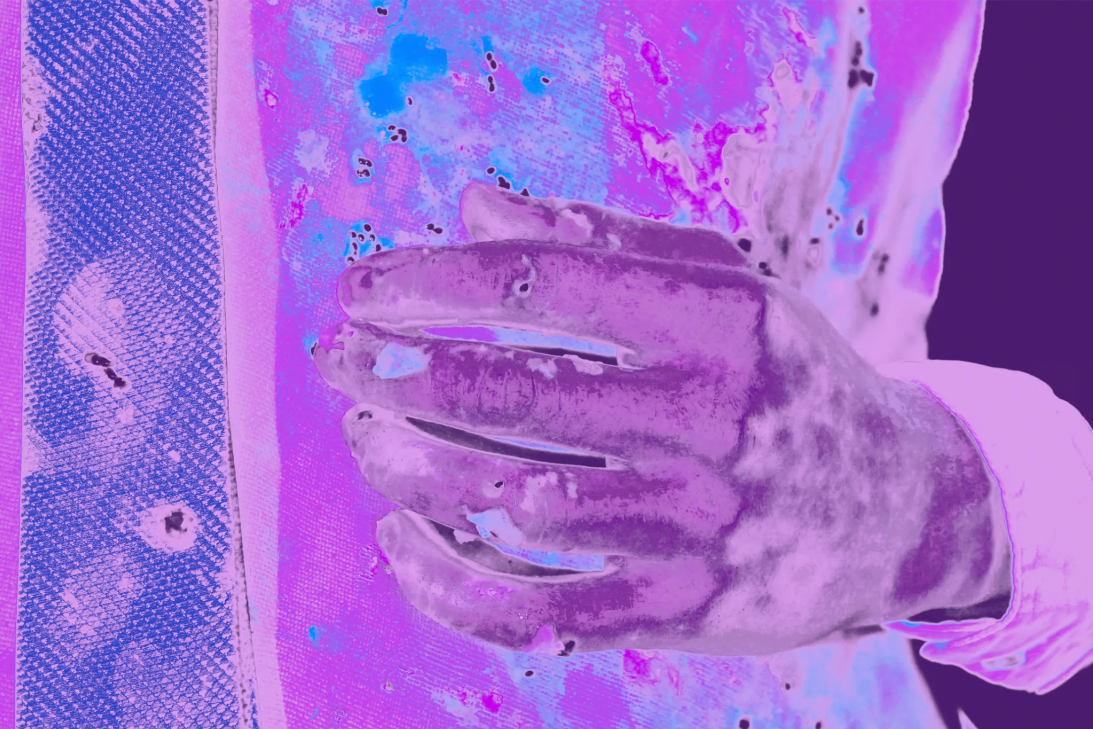 Maya KingDabbs slide 3