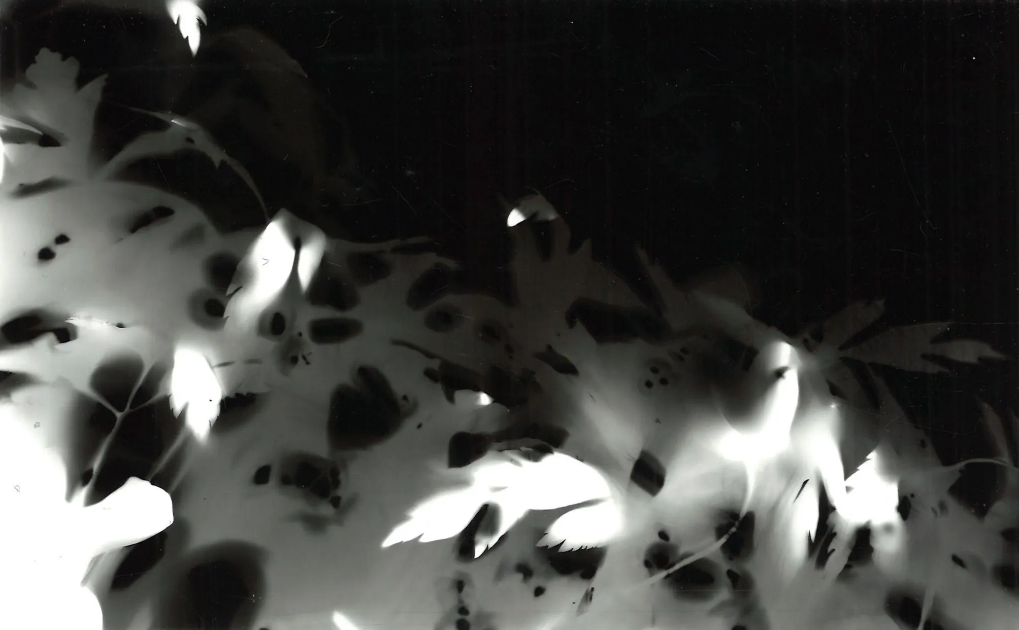 Melvyn Jones process 5
