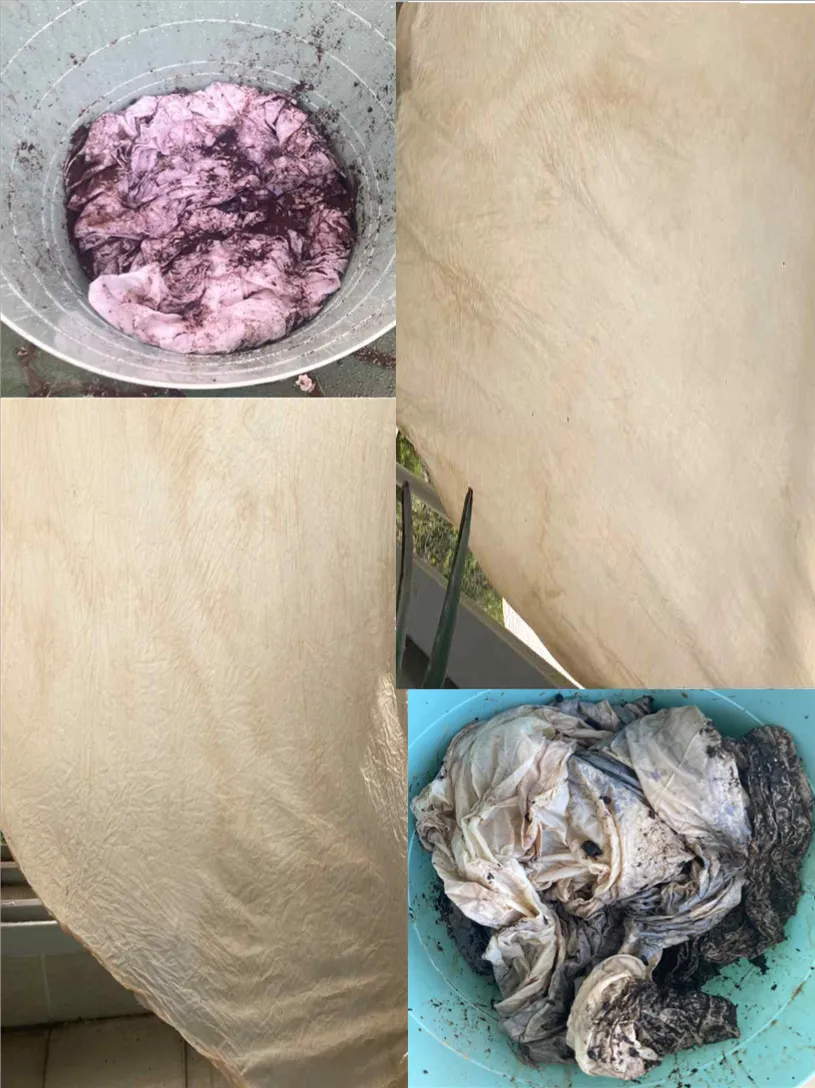 nayoung lee . behindscenes . image . 2