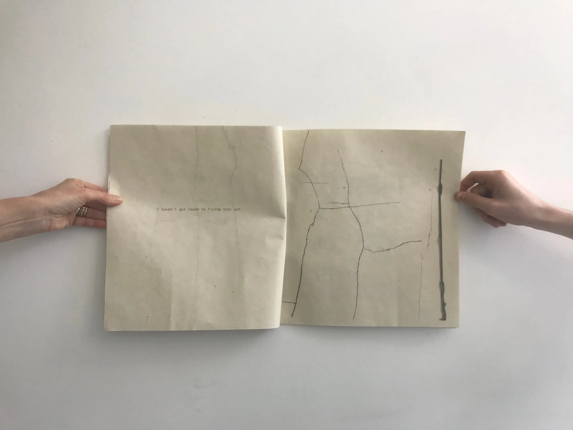 colewire olive slide1