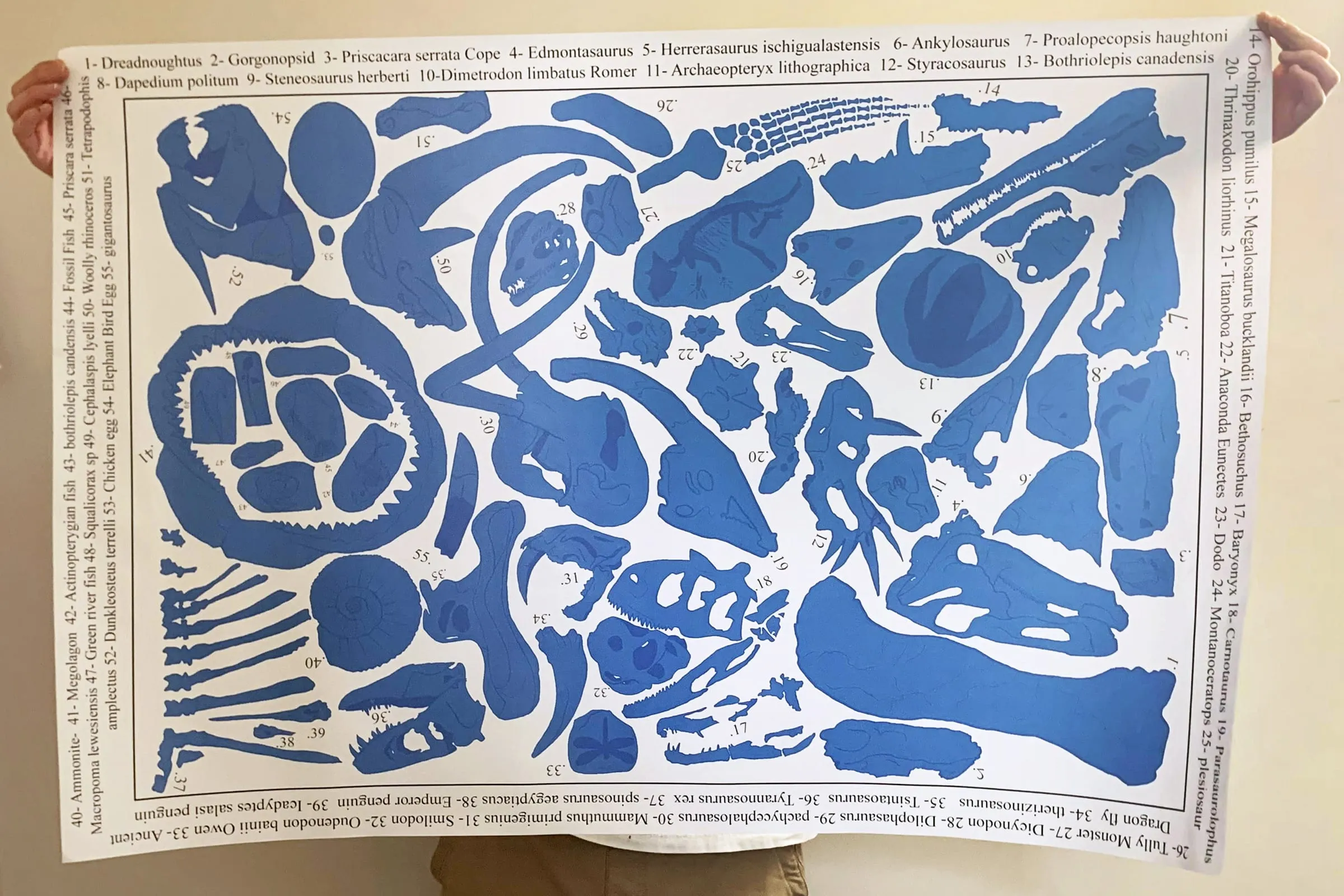 Roberts Oscar Slide 3 2021-05-27 12.50.24