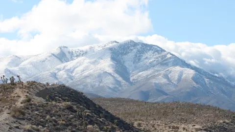 Rohan Patel process 1