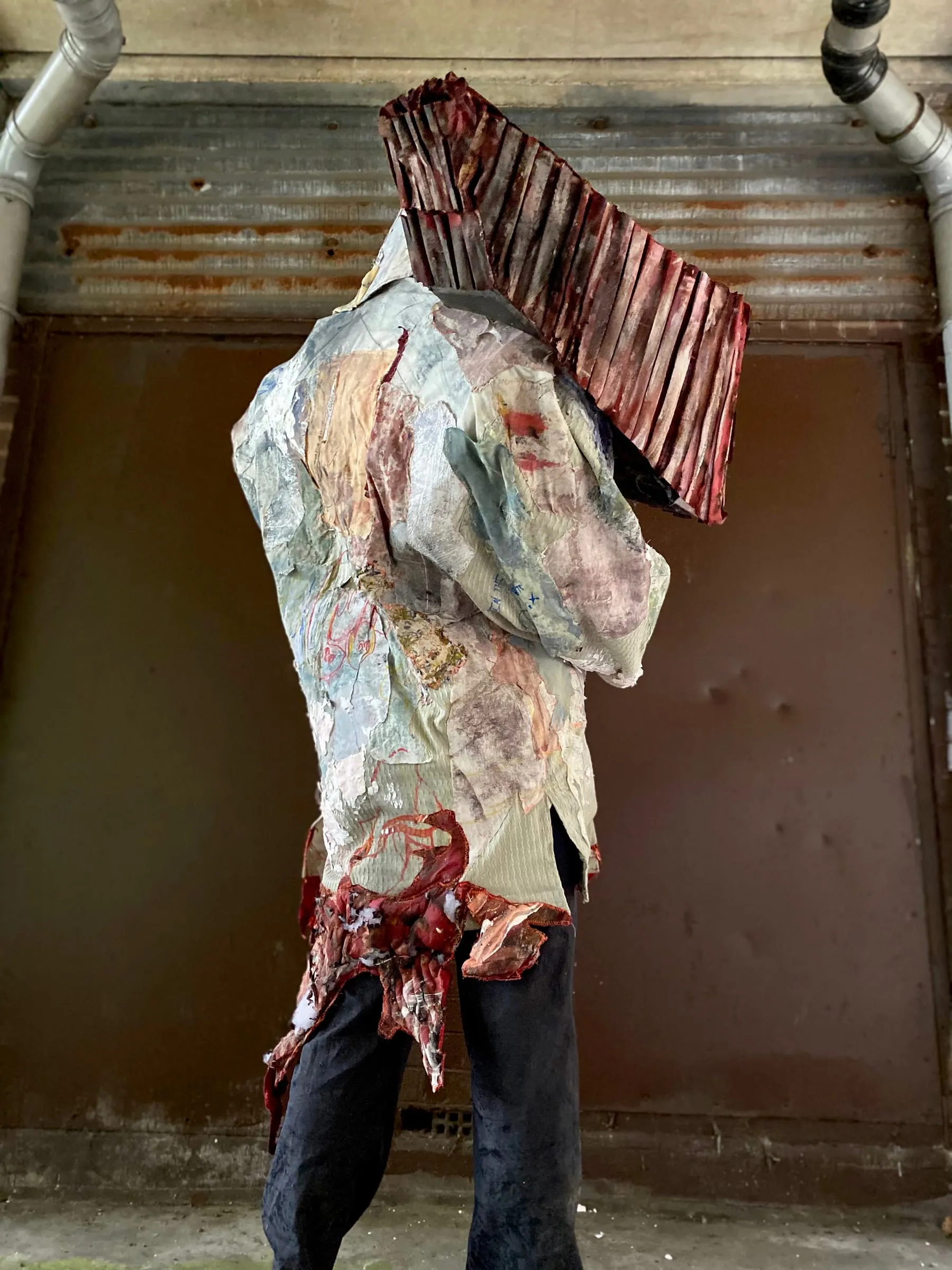 Romy Monaghan documentation slide 2