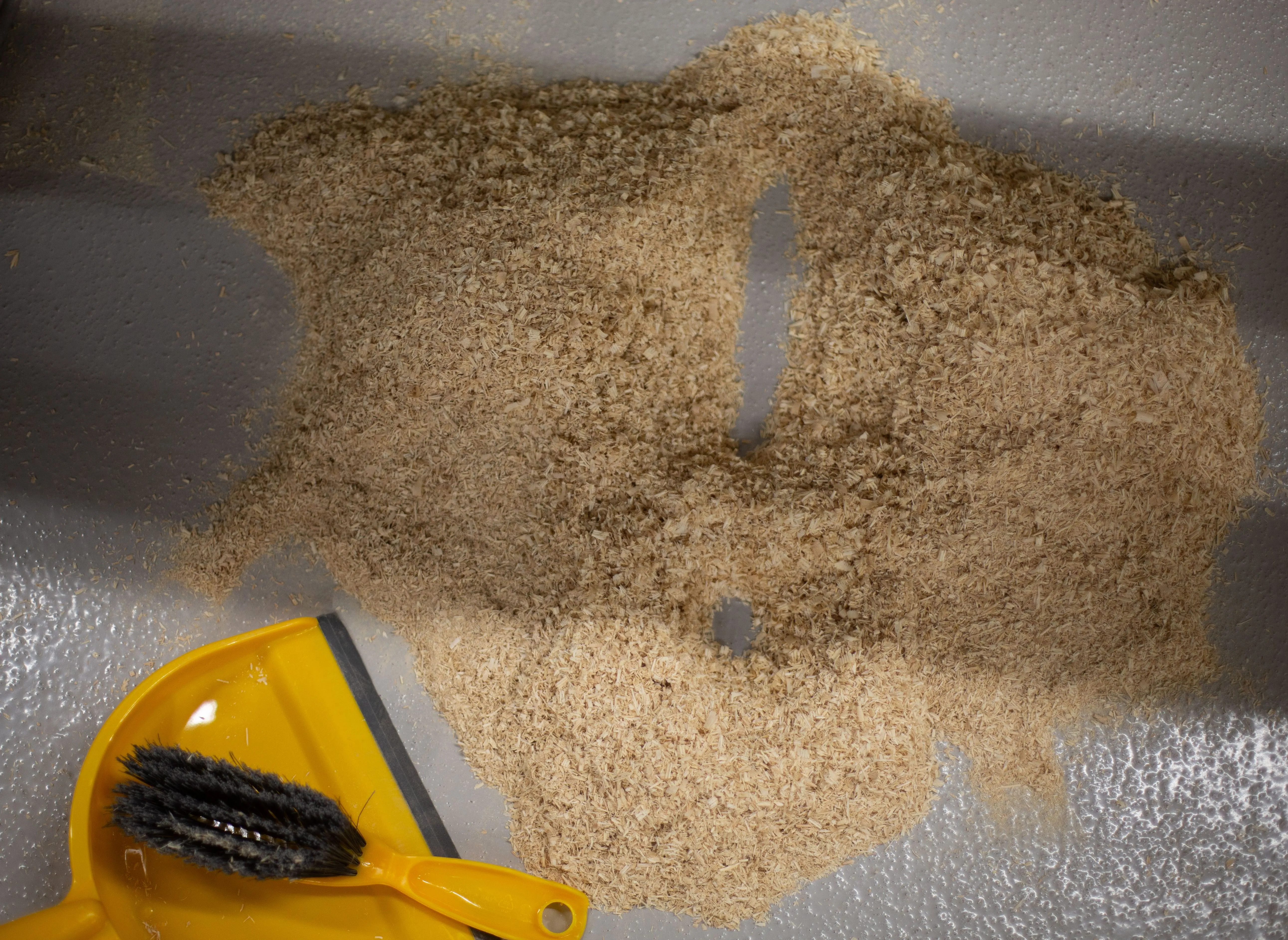 Siena Baker process 4