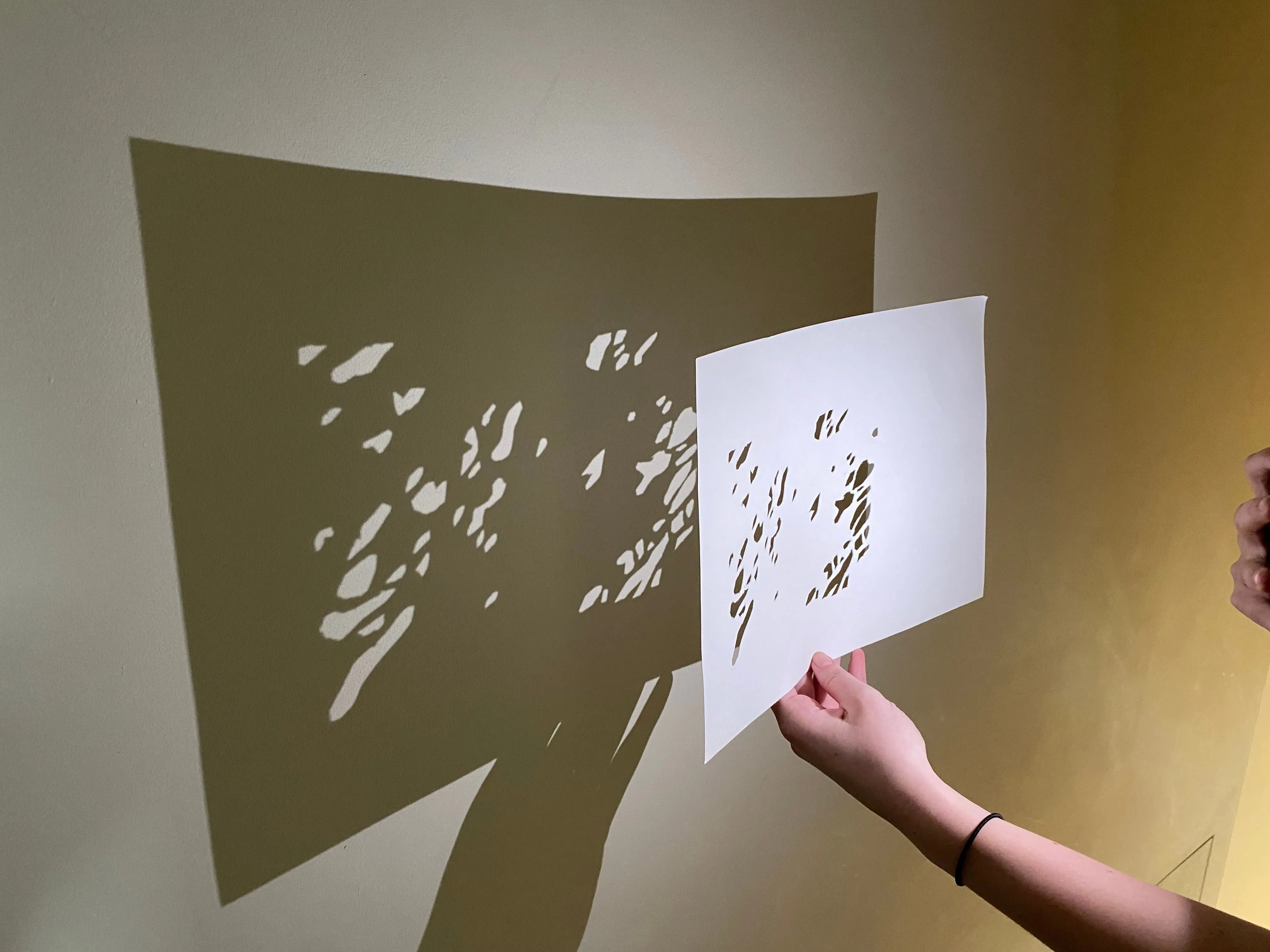 Tilly Gell Marquez process 2