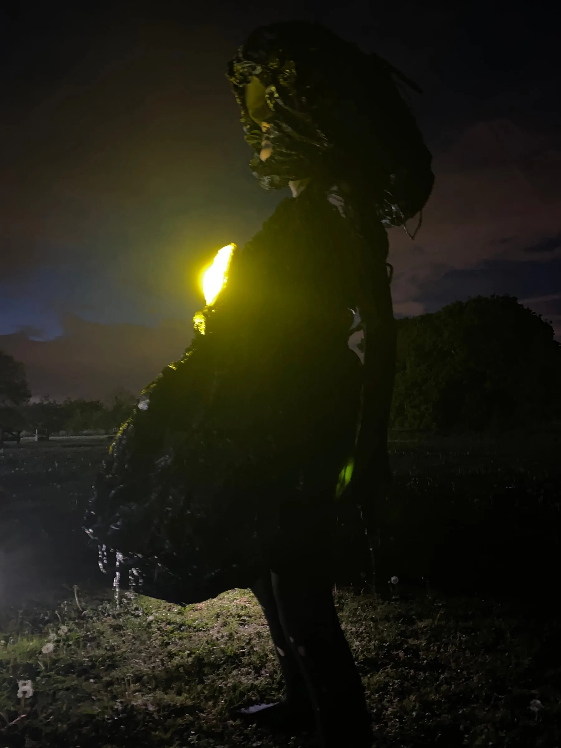 Tori graham (fashion) project documentation slide 2